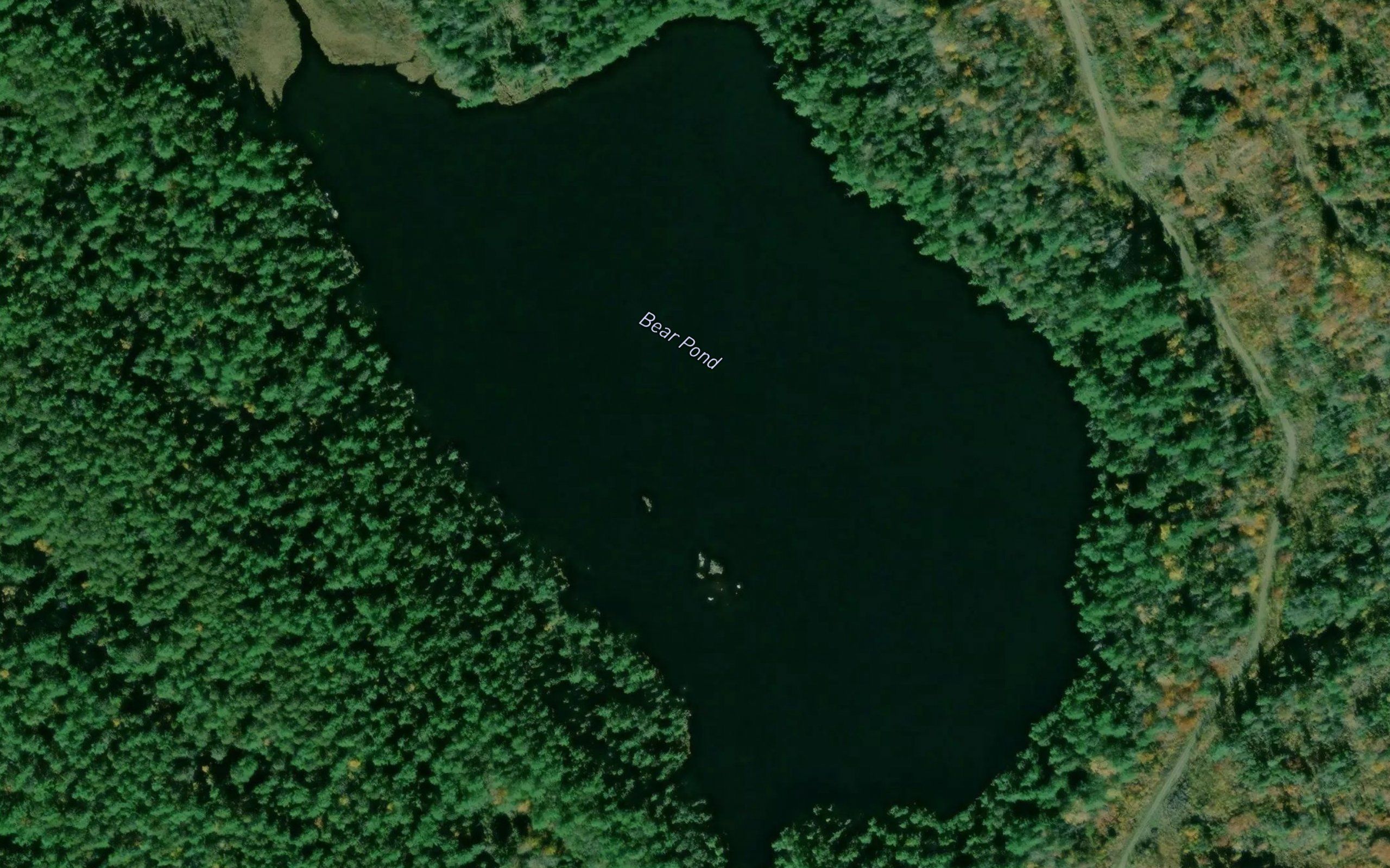 Bear Pond