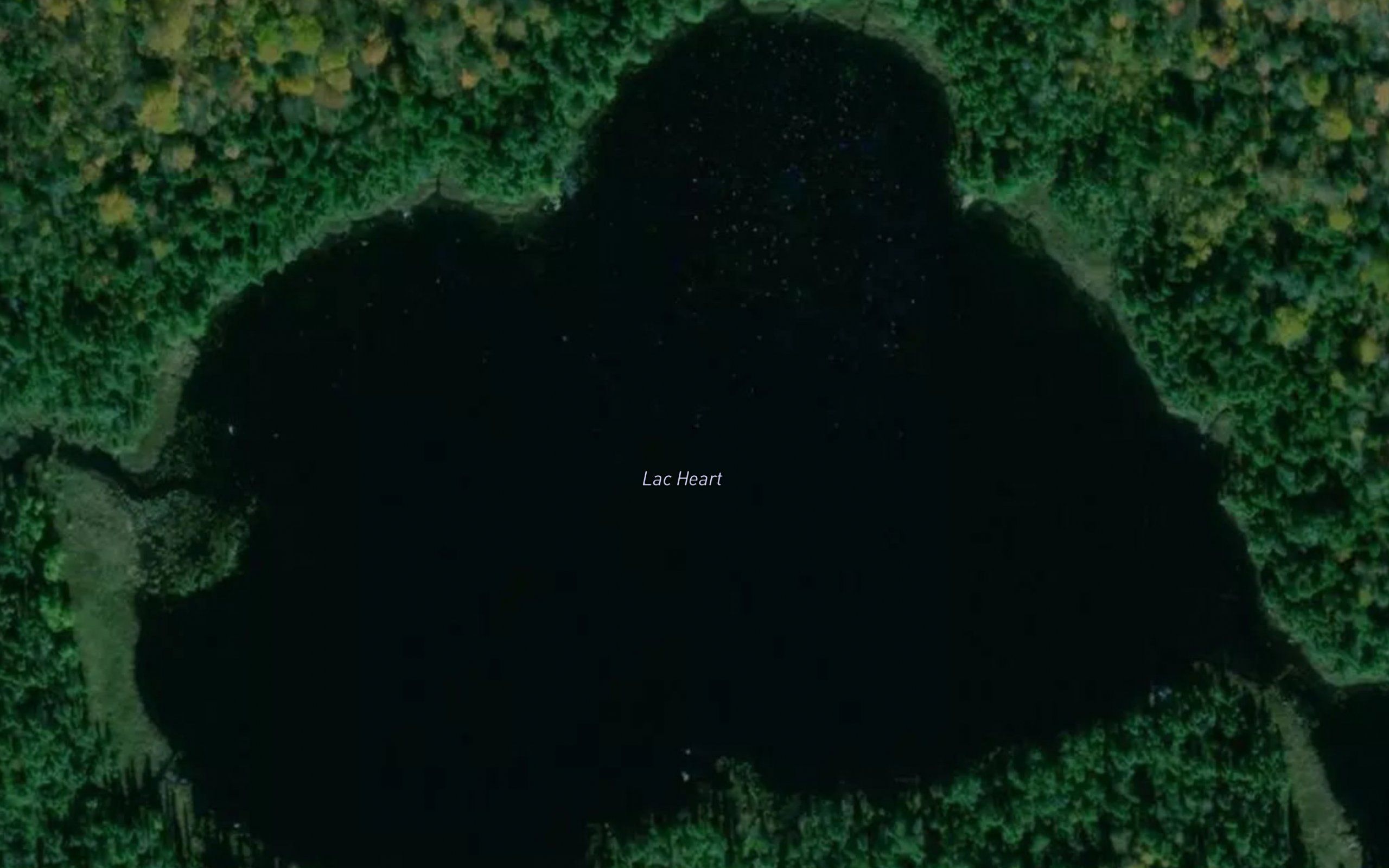 Lac Heart