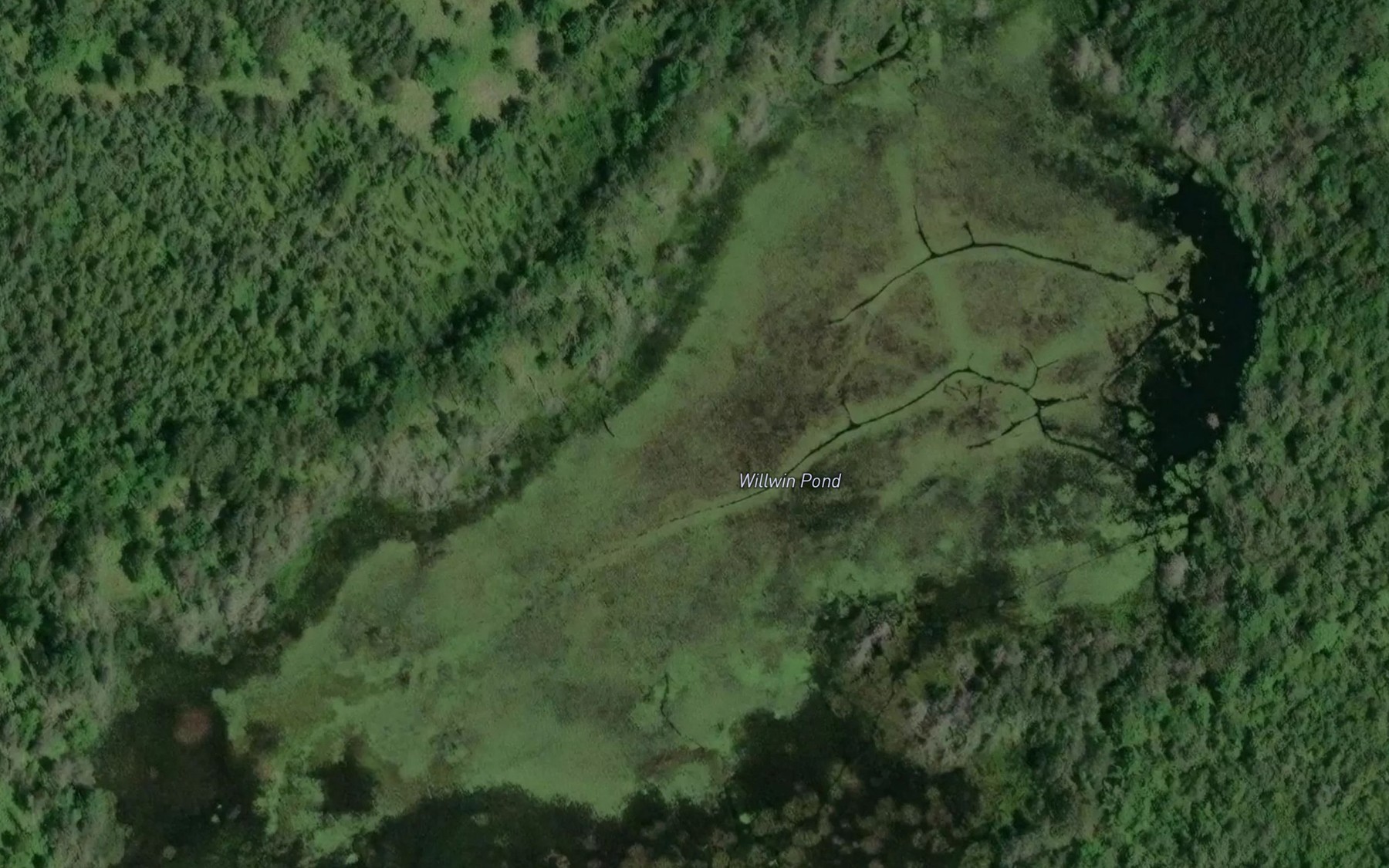 Satellite map of the Willwin Pond