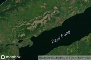 Deer Pond