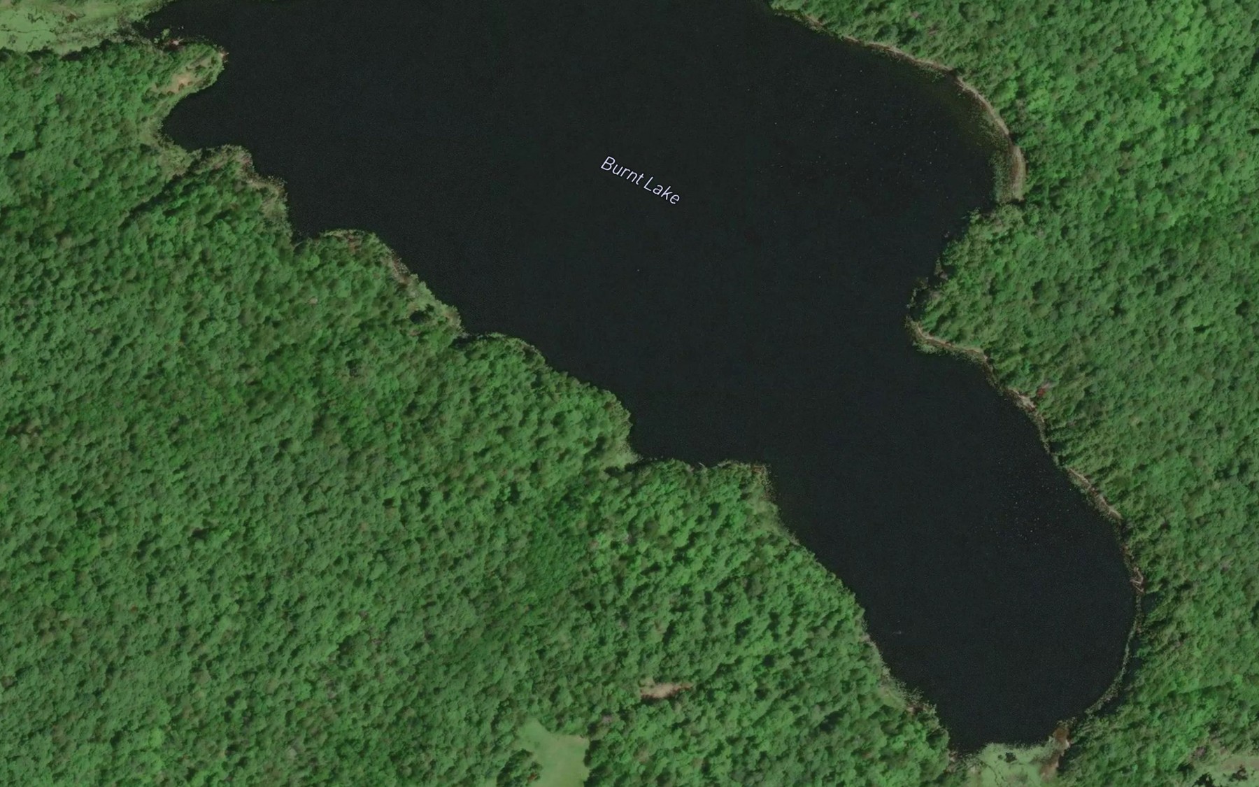Satellite map of the Burnt Lake