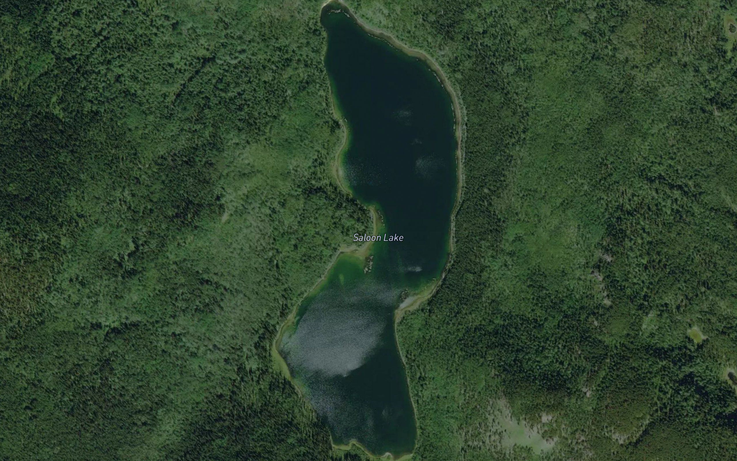 Saloon Lake