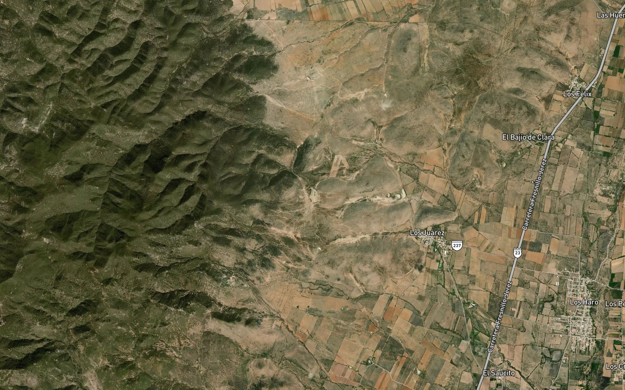 Bordo la Laguna