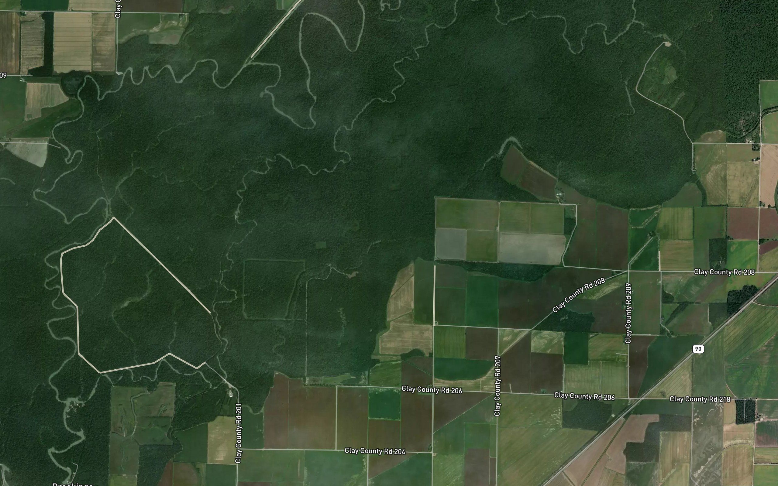 Kincaid Slough
