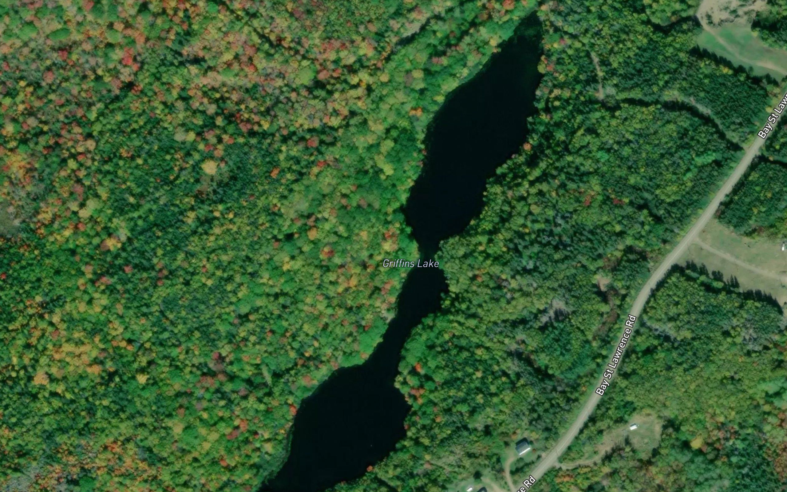 Griffins Lake