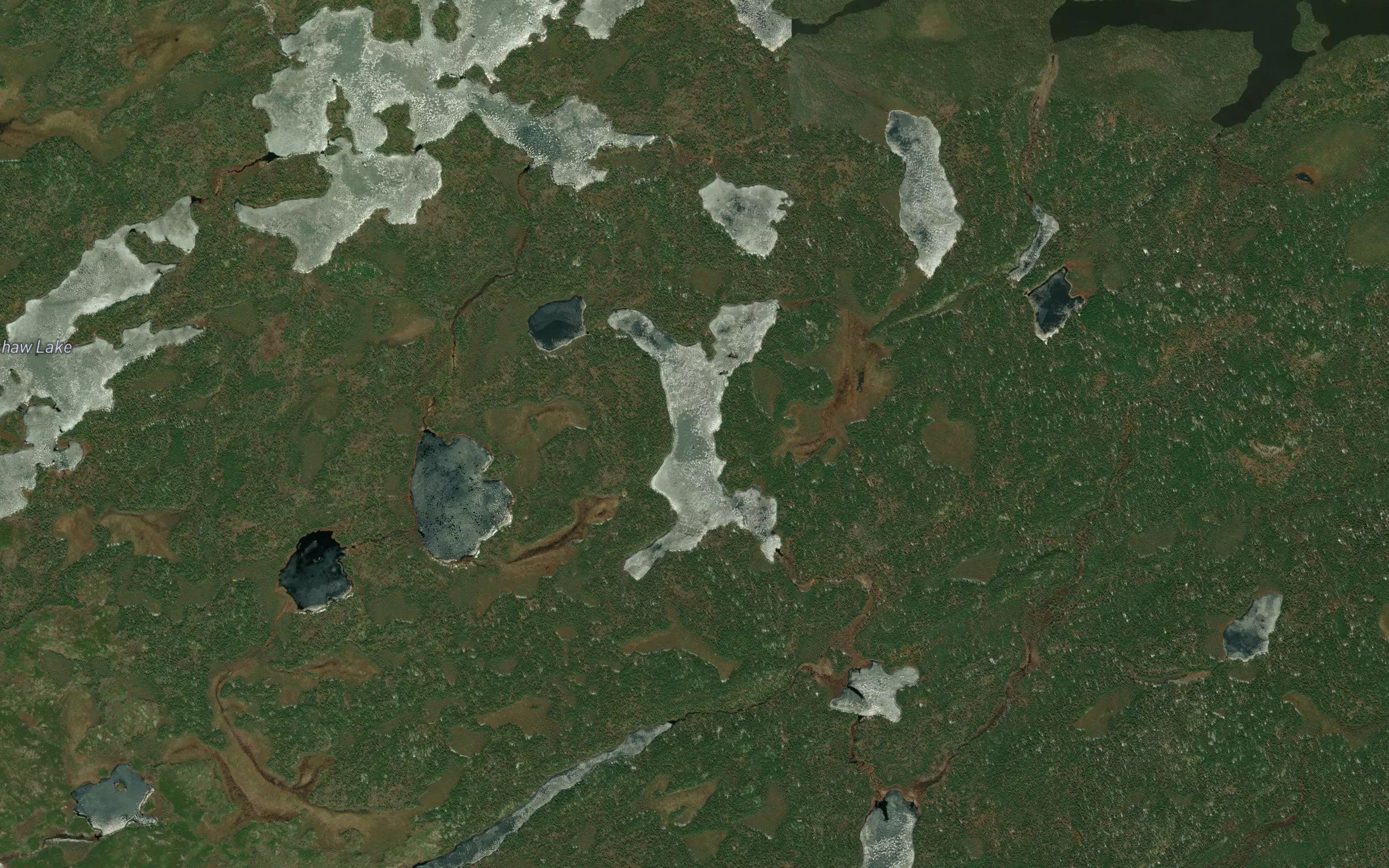 Sims Lake