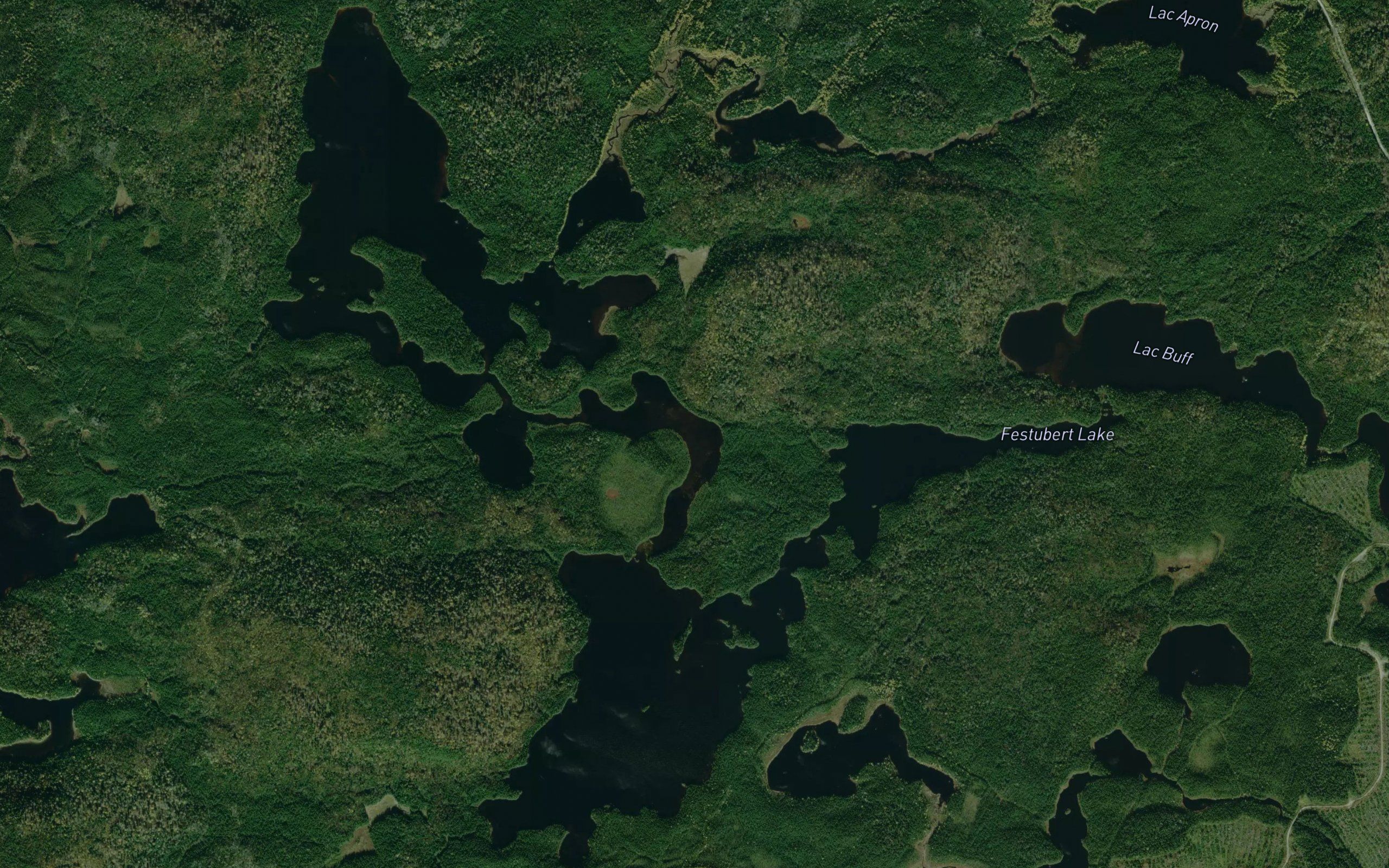 Lac Festubert