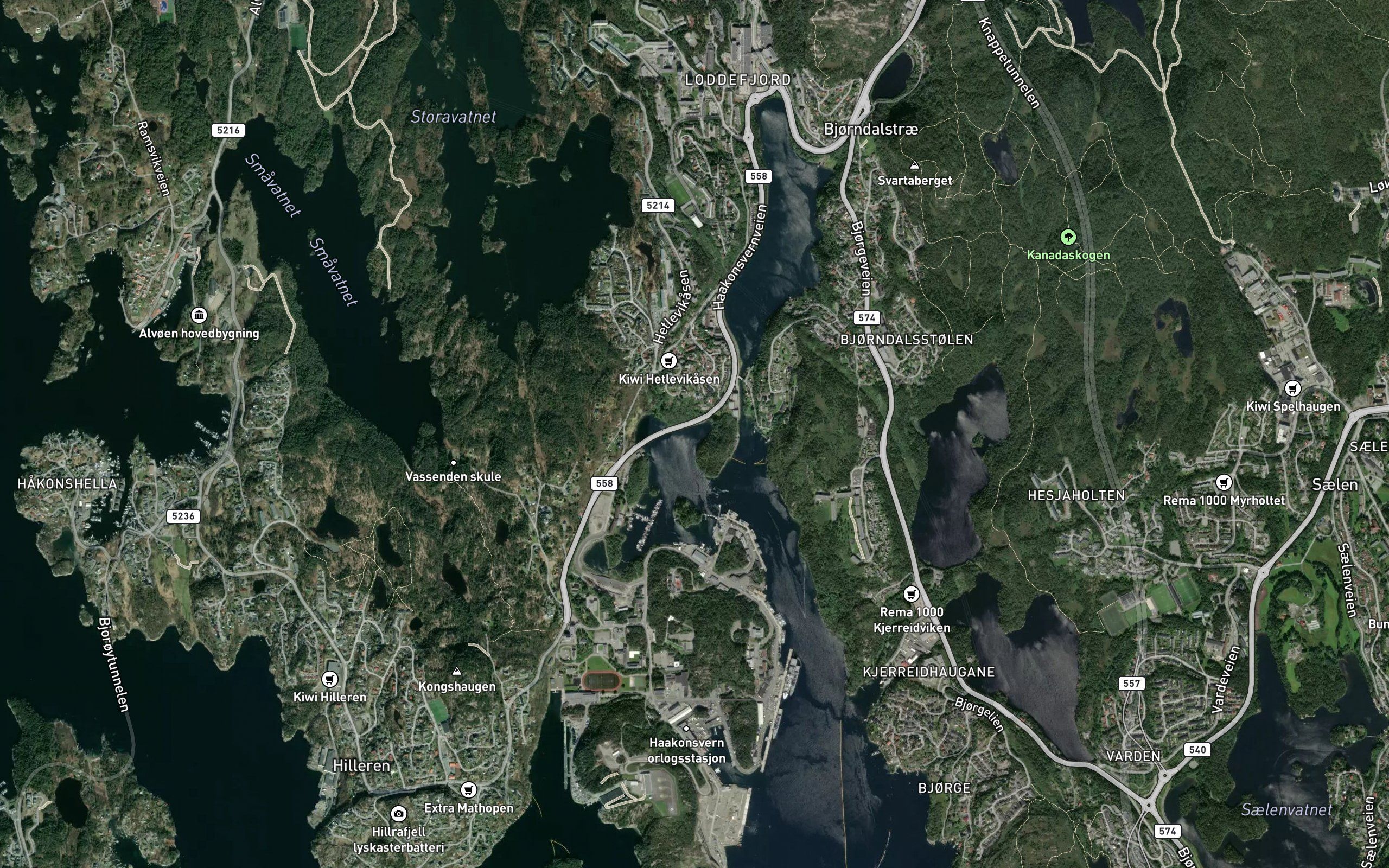 Tommervika