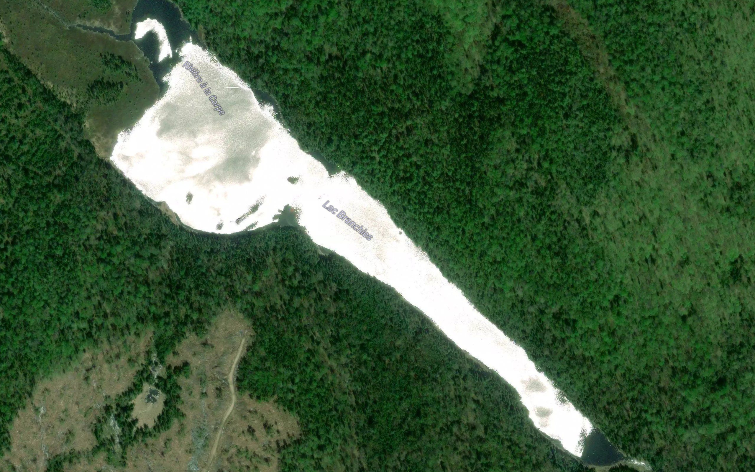 Lac Branchies