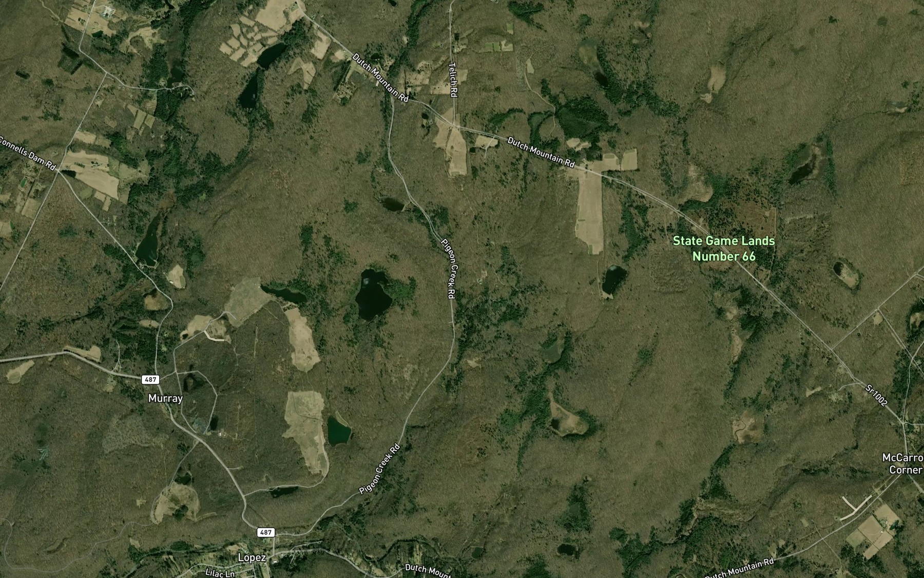Satellite map of the Noon Run