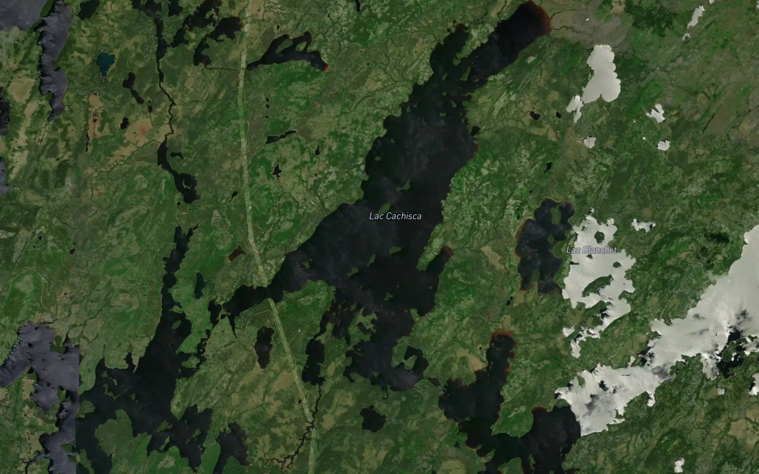 Lac Cachisca