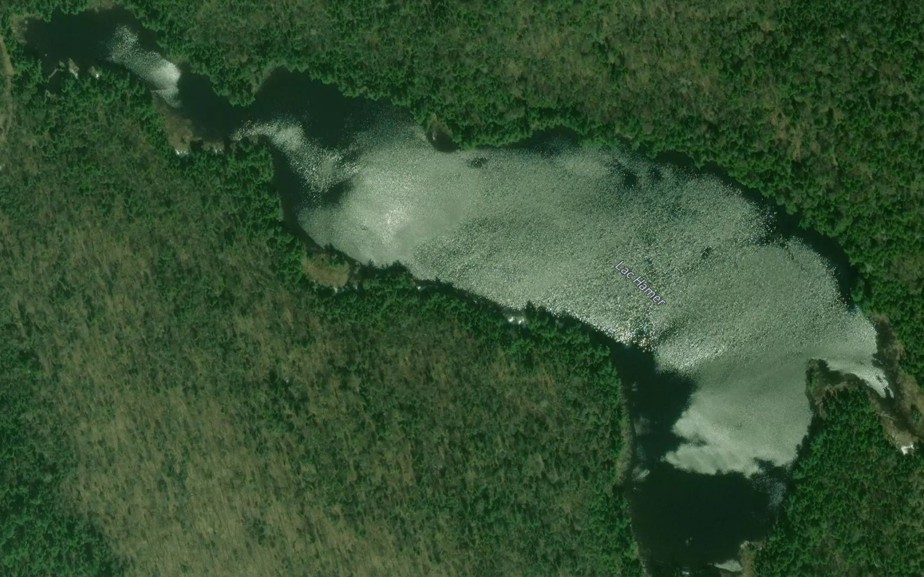 Satellite map of the Lac Hamer