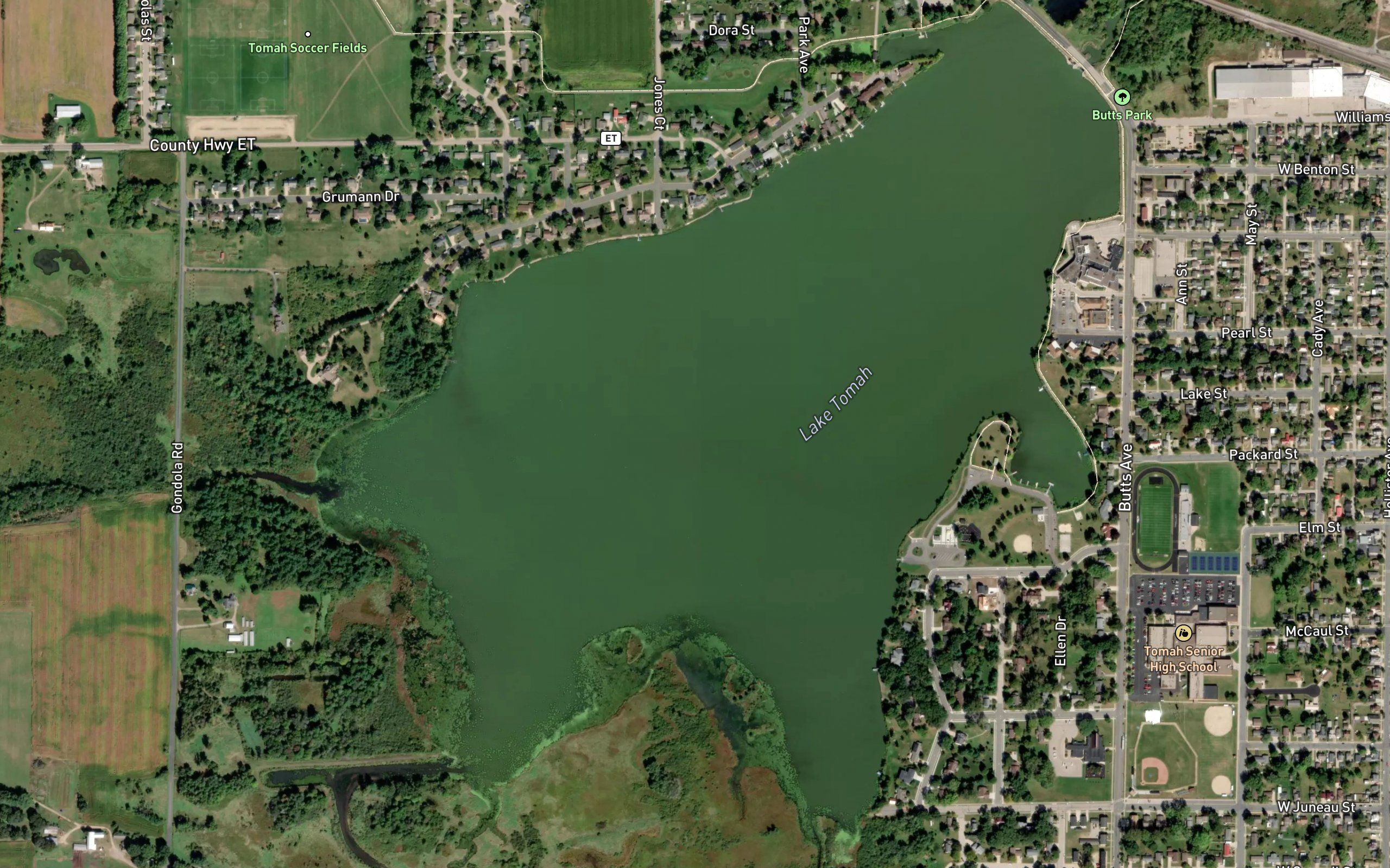Lake Tomah
