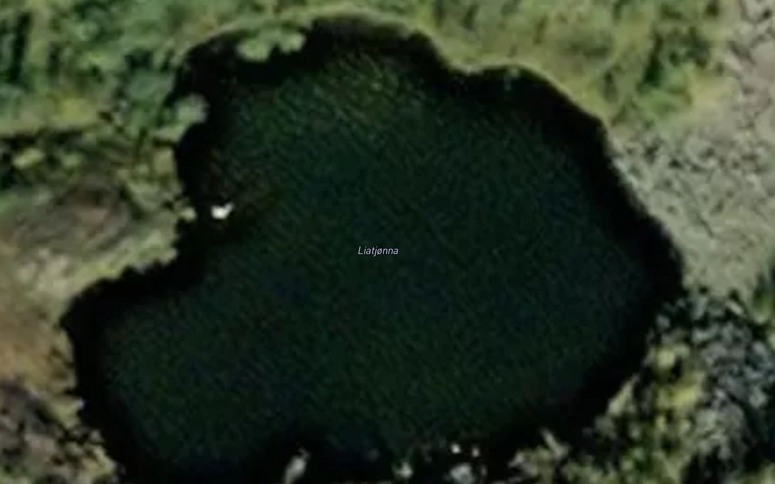 Liatjorna