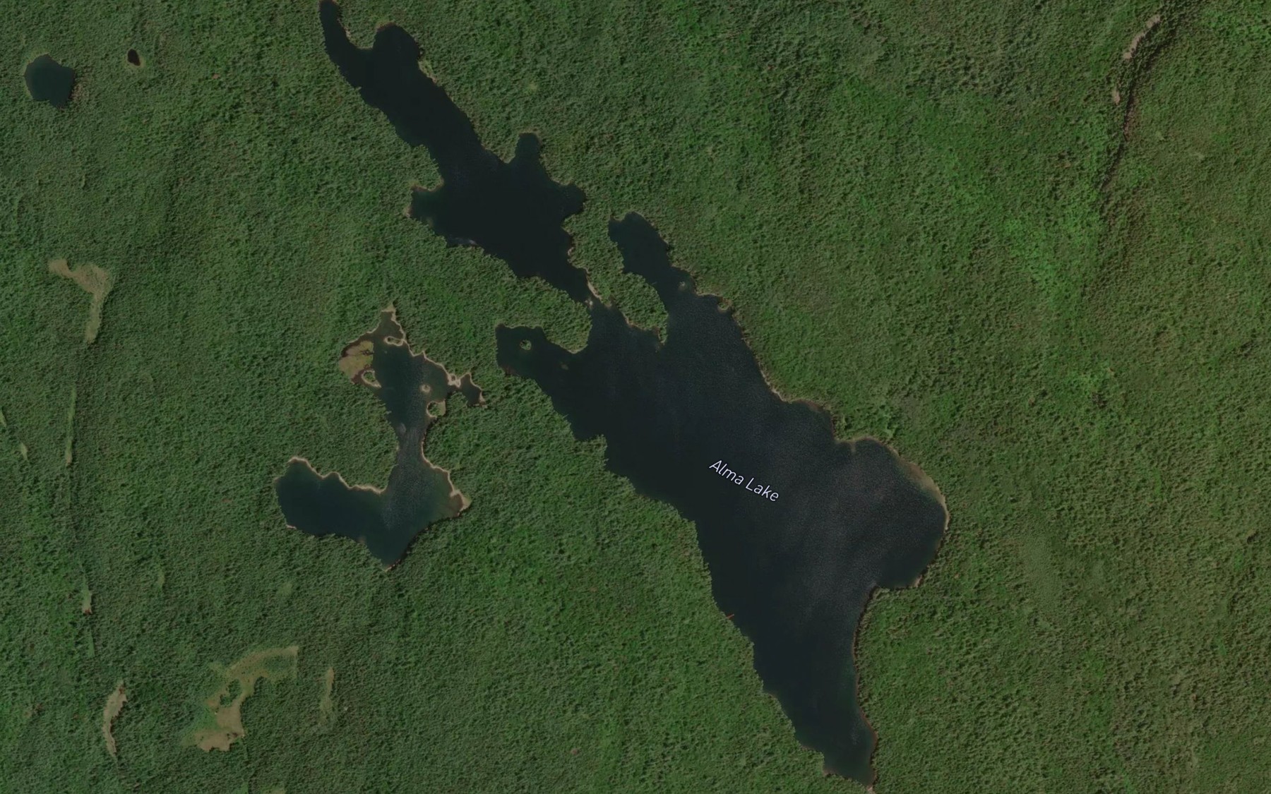 Satellite map of the Alma Lake
