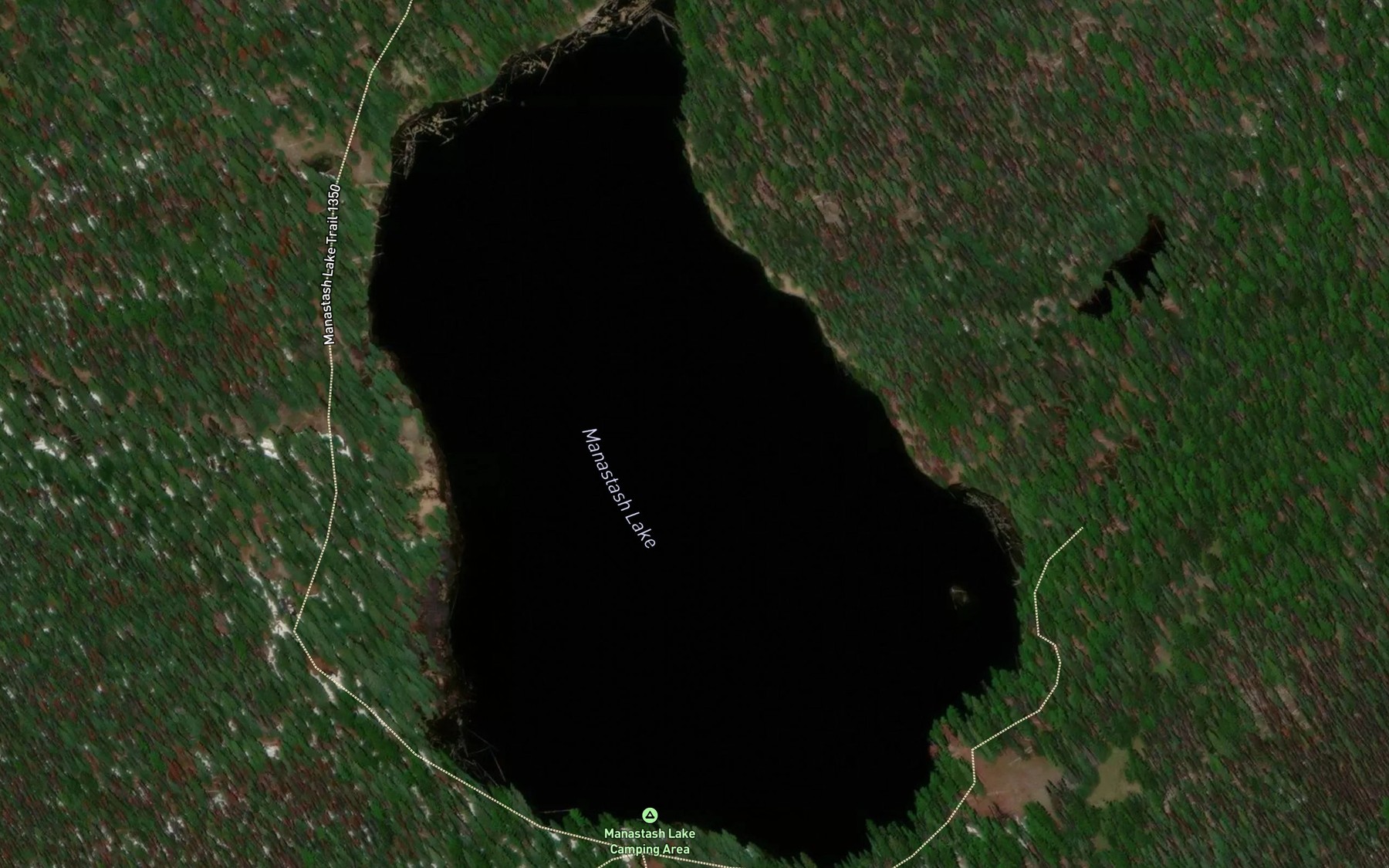 Satellite map of the Manastash Lake