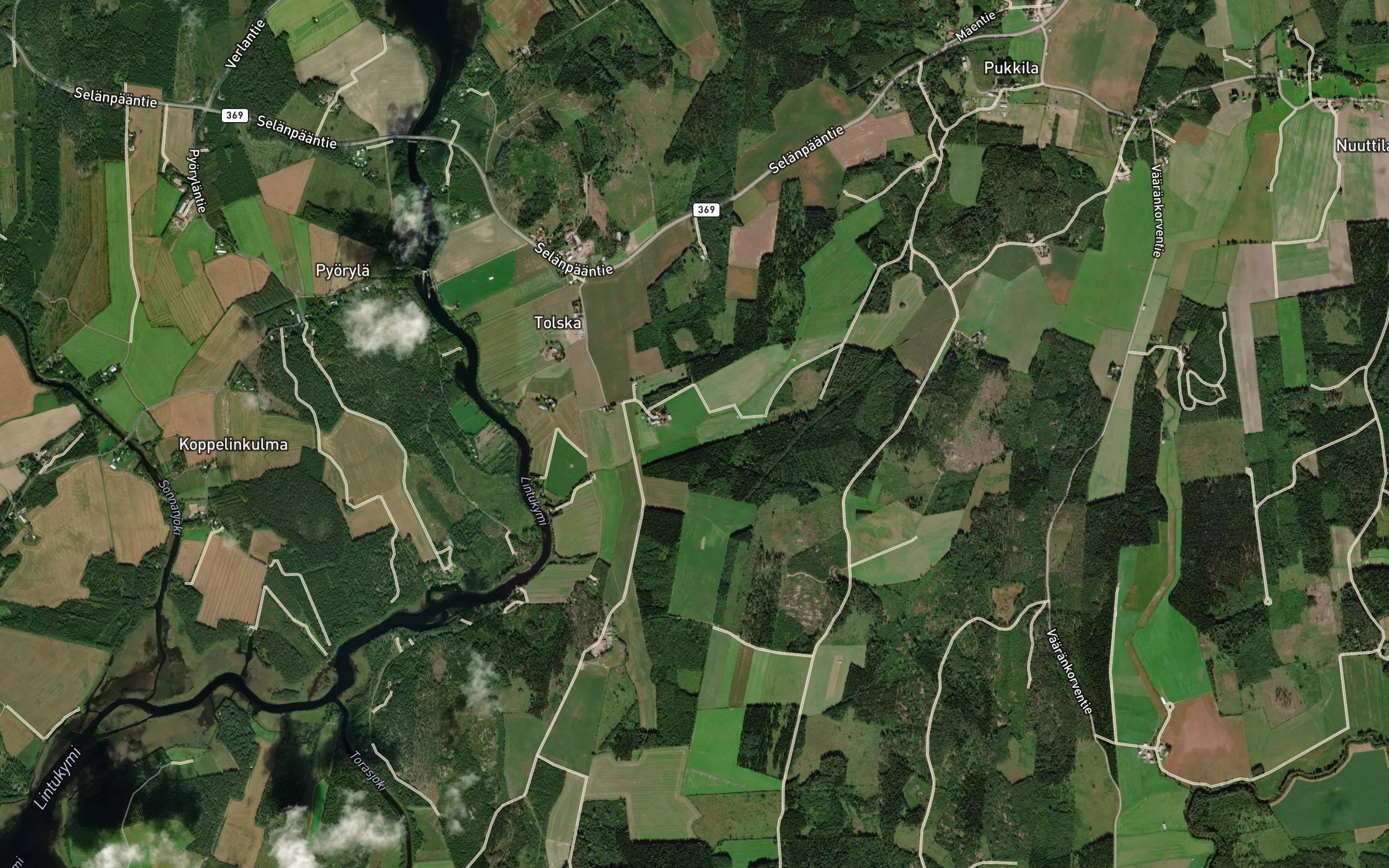 Siestaroja