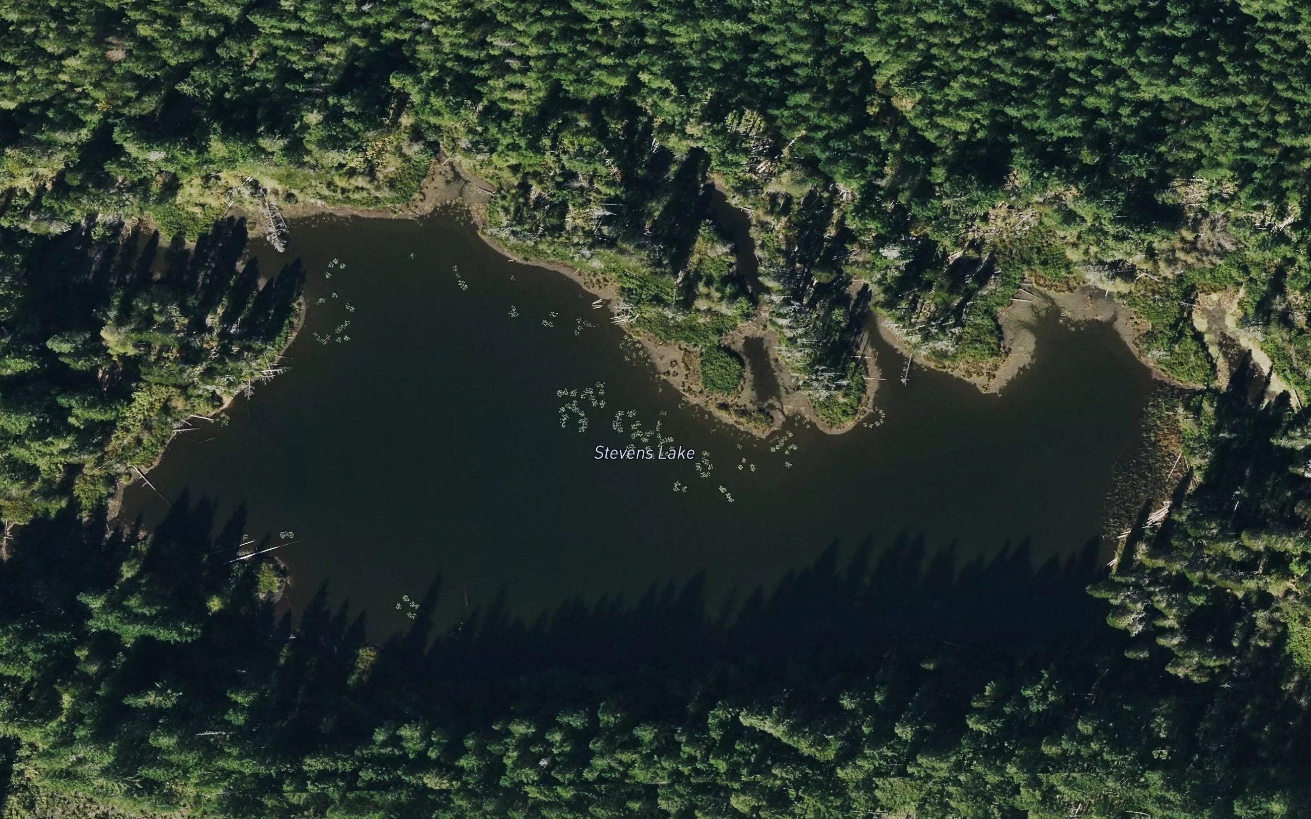 Stevens Lake