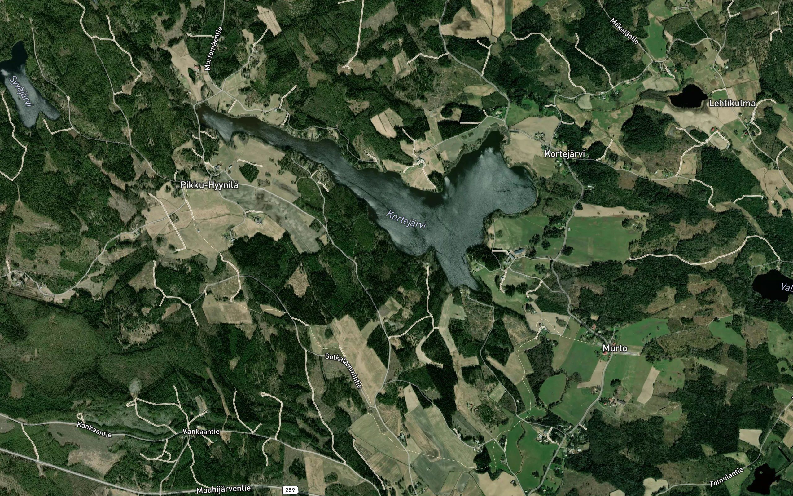 Leppainoja