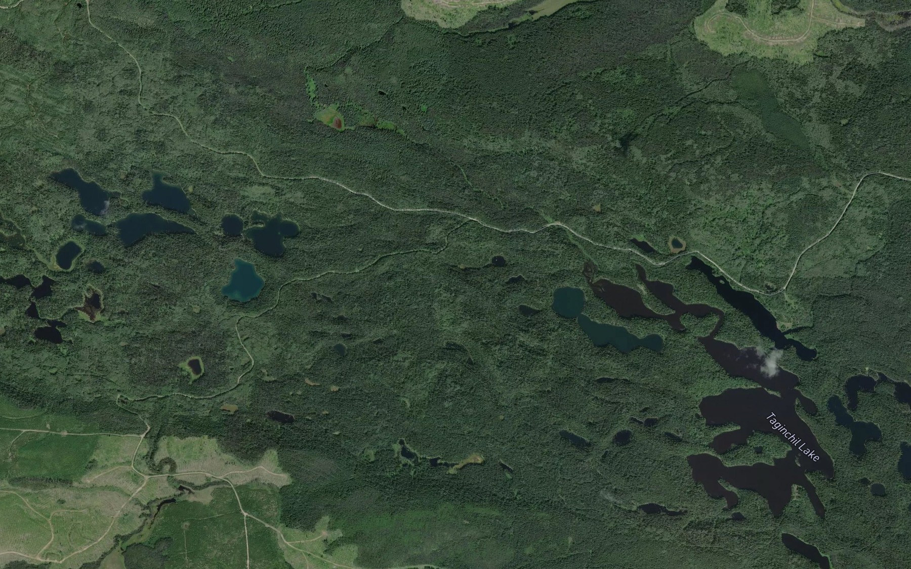 Satellite map of the Taginchil Creek