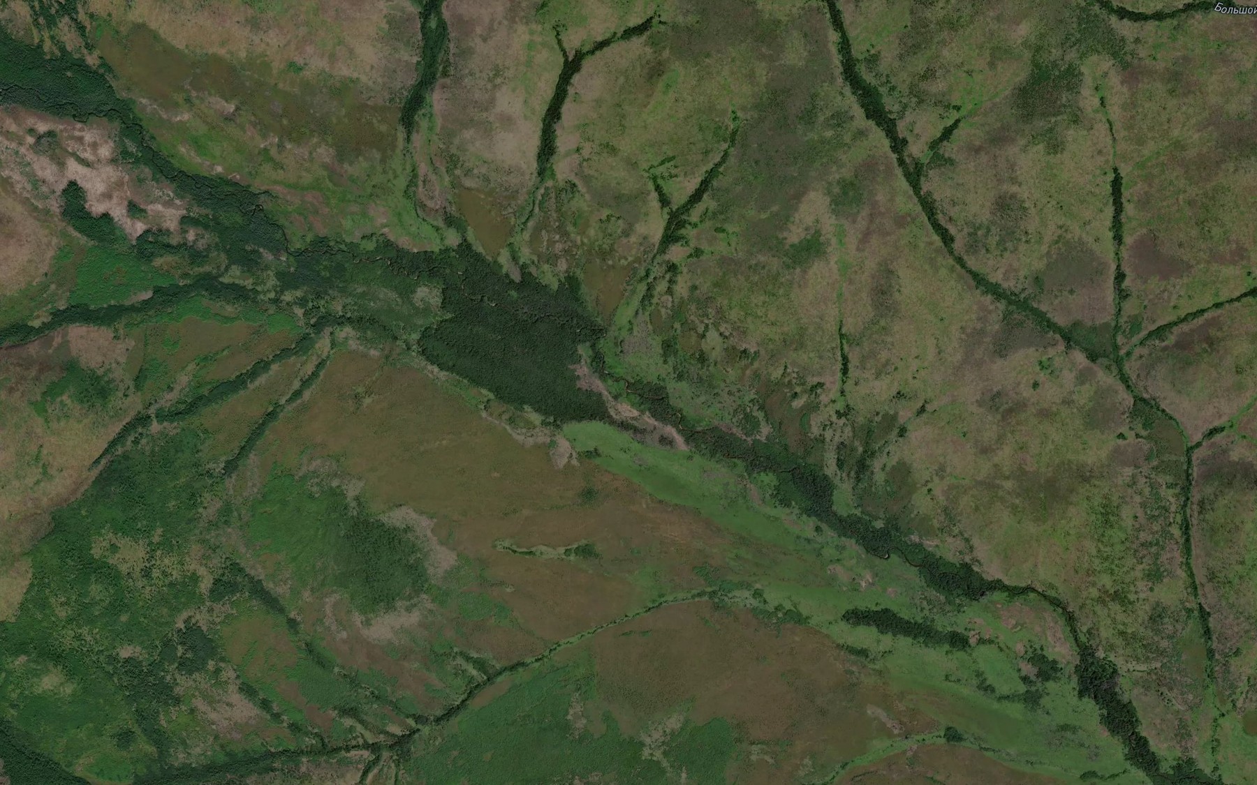 Satellite map of the Chistyy