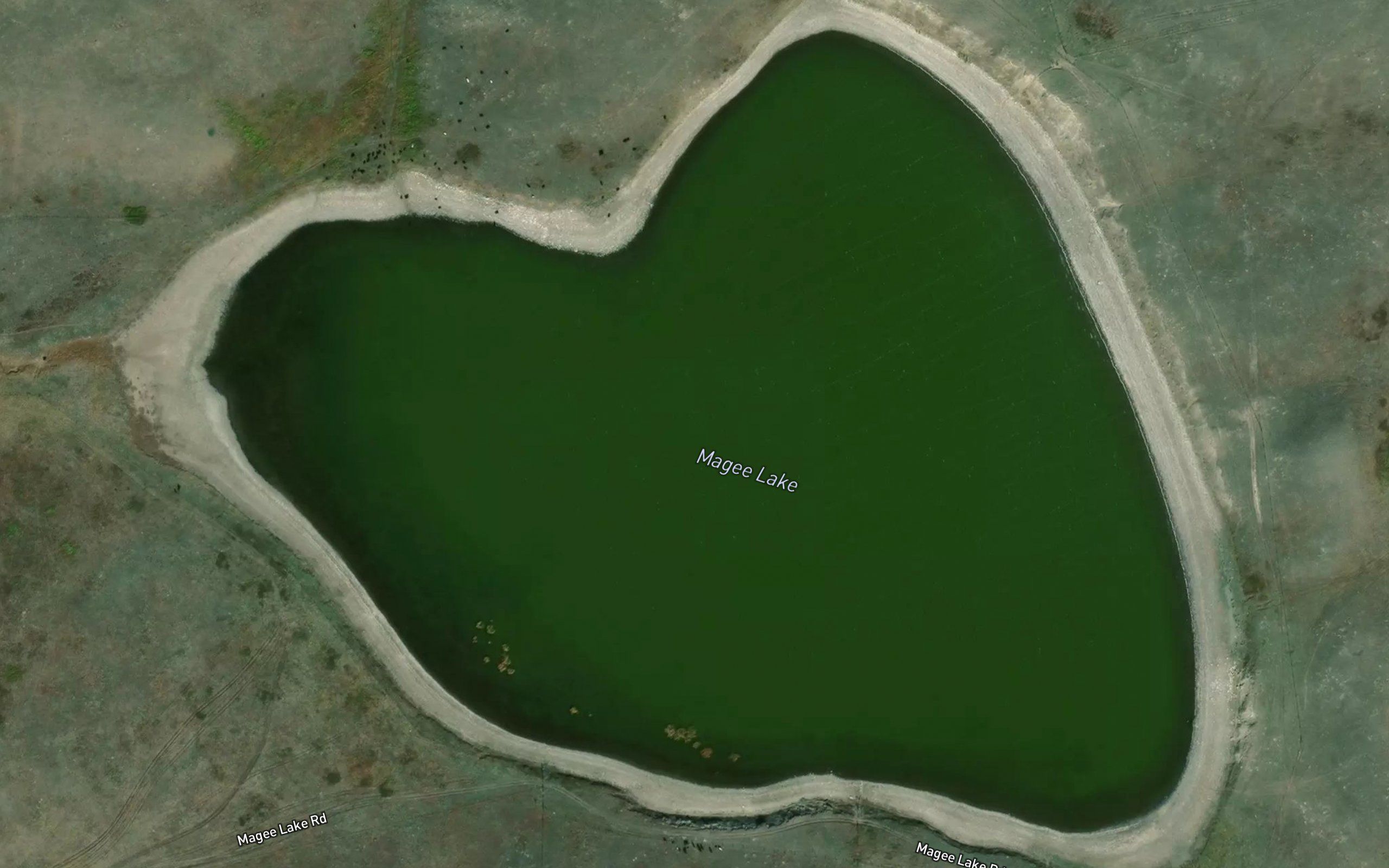 Magee Lake