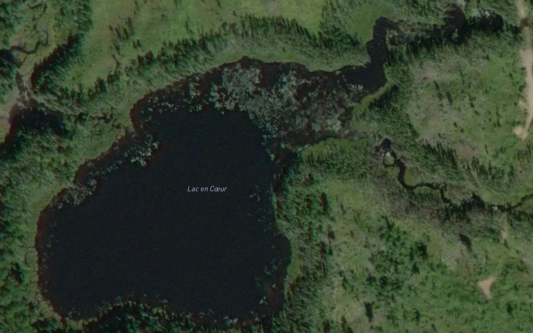 Satellite map of the Lac en Coeur