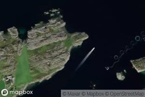 Malenevika