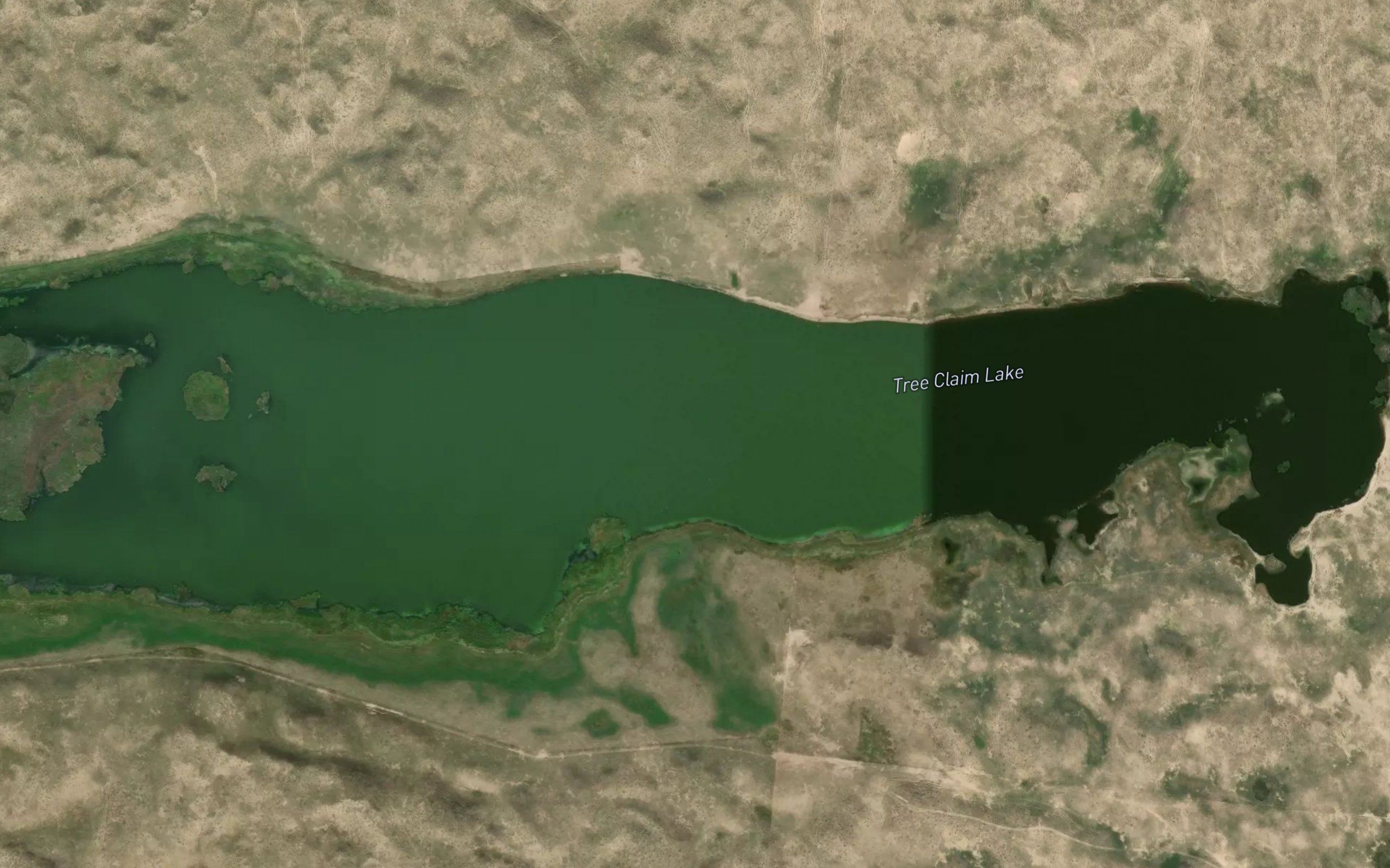 Tree Claim Lake