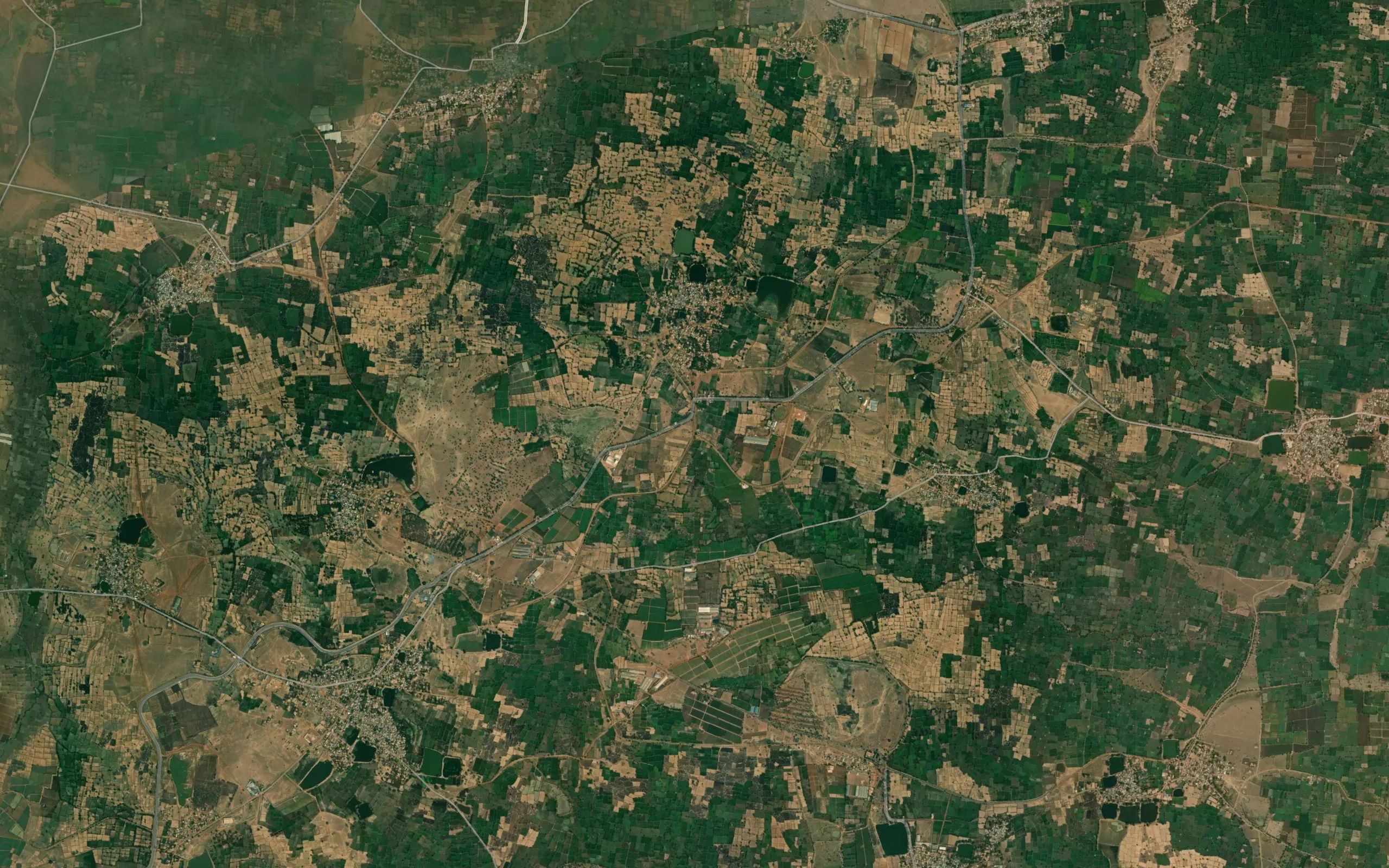 Sardha Minor