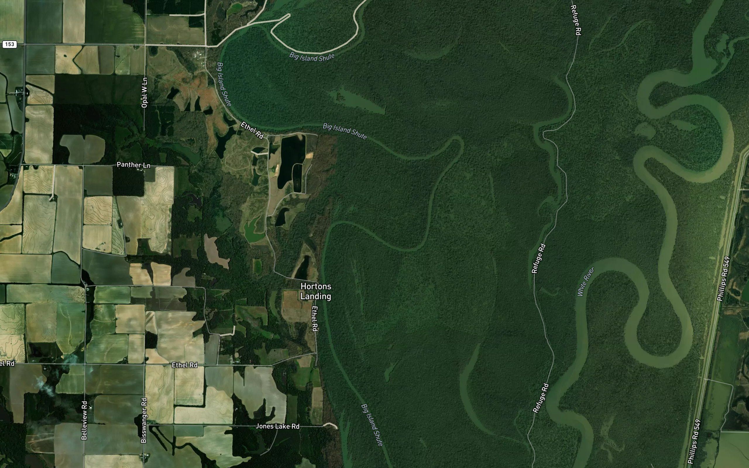 Panther Branch
