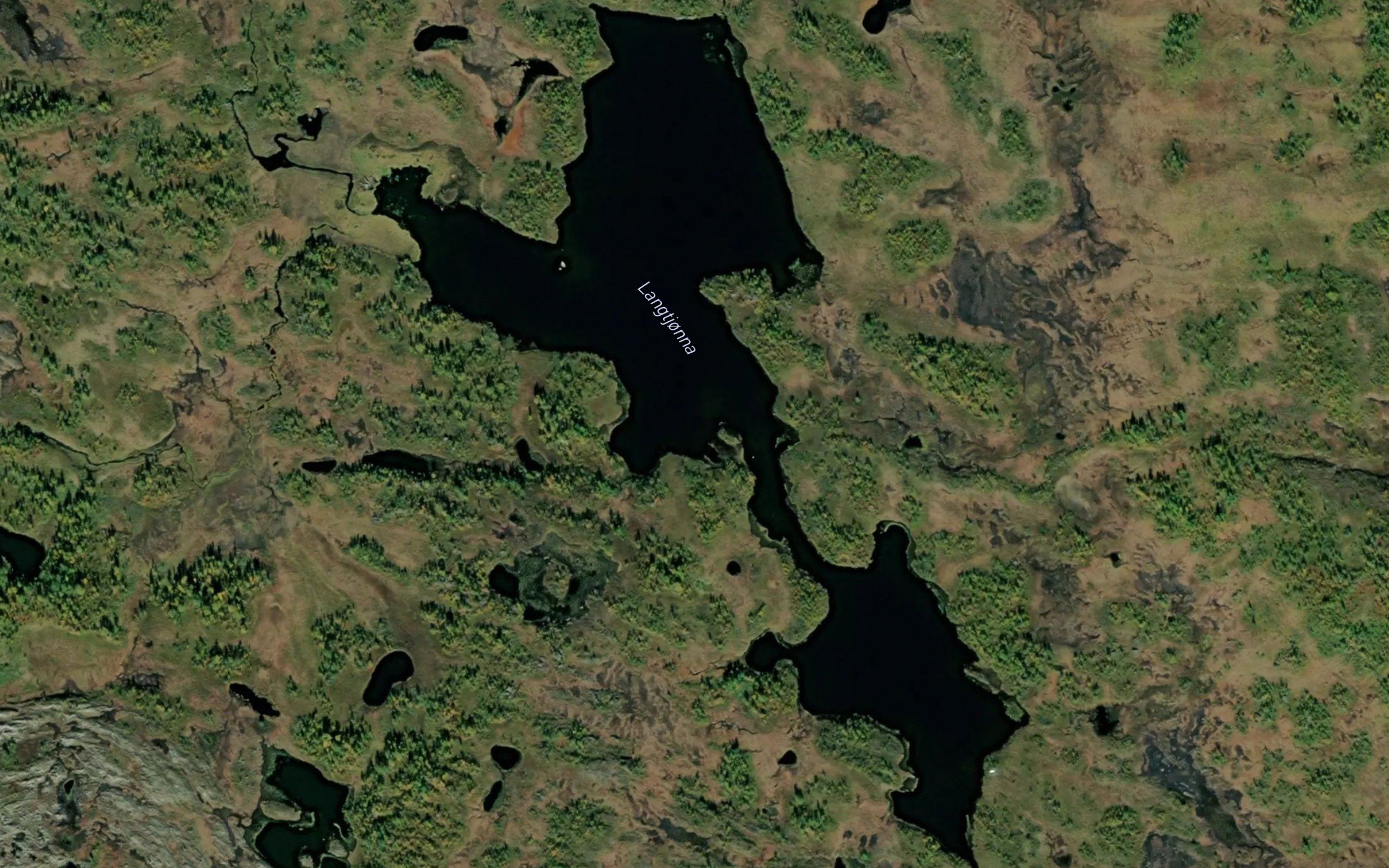 Langtjorna