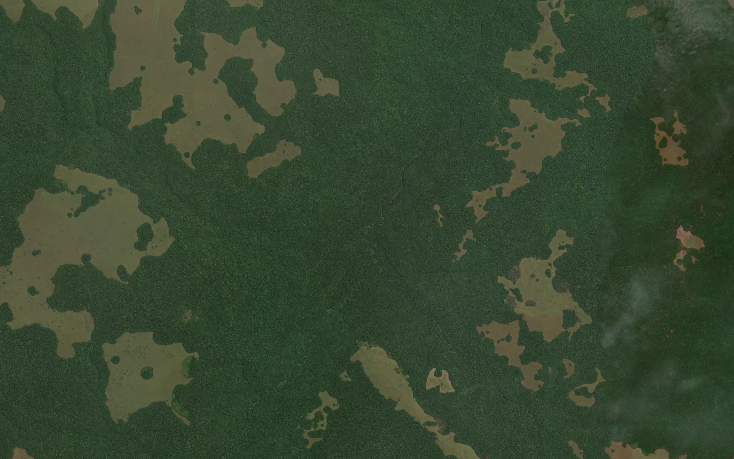 Wetu