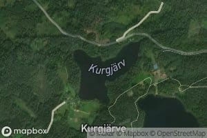 Kurgjarv
