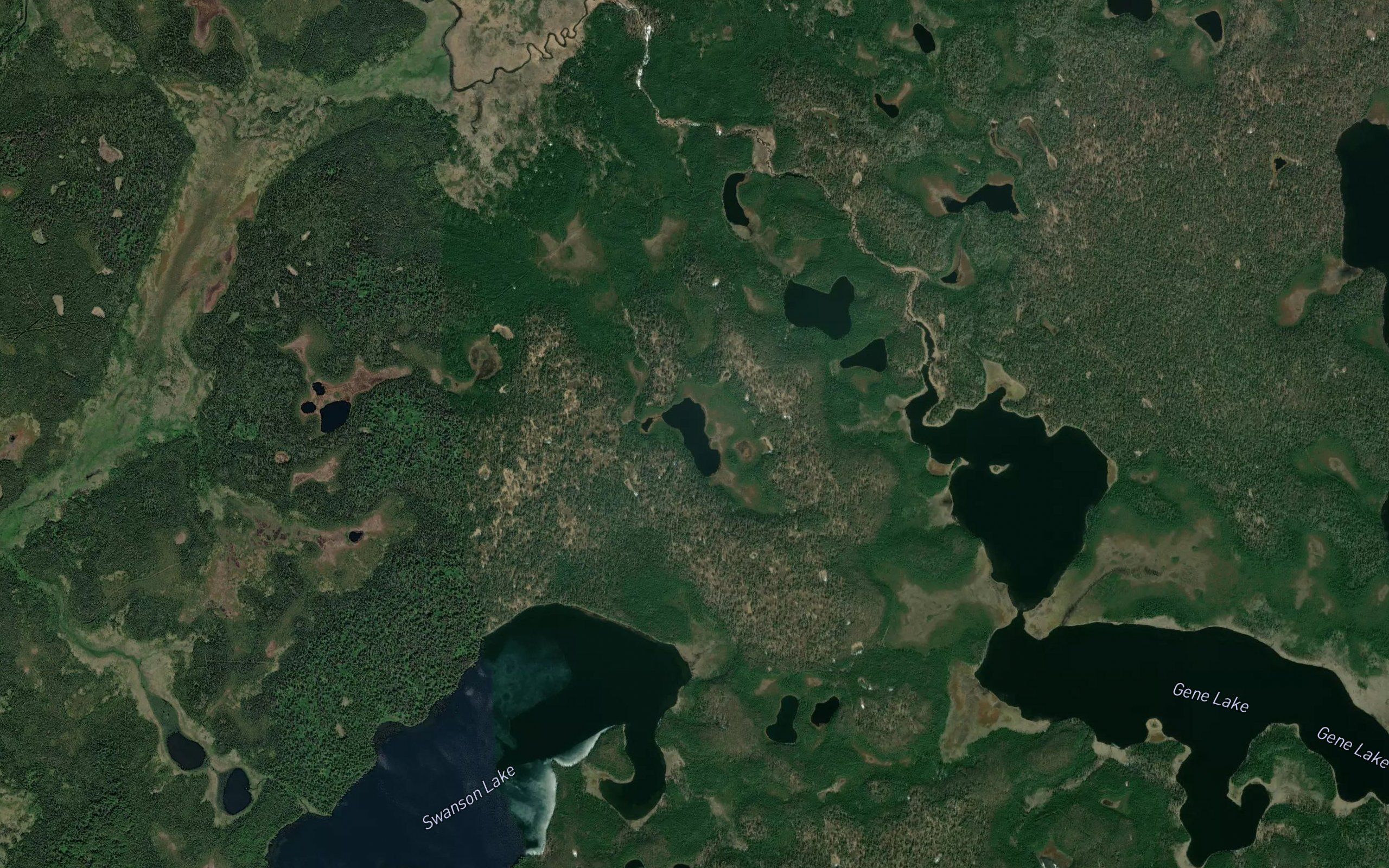 Swanson Lakes