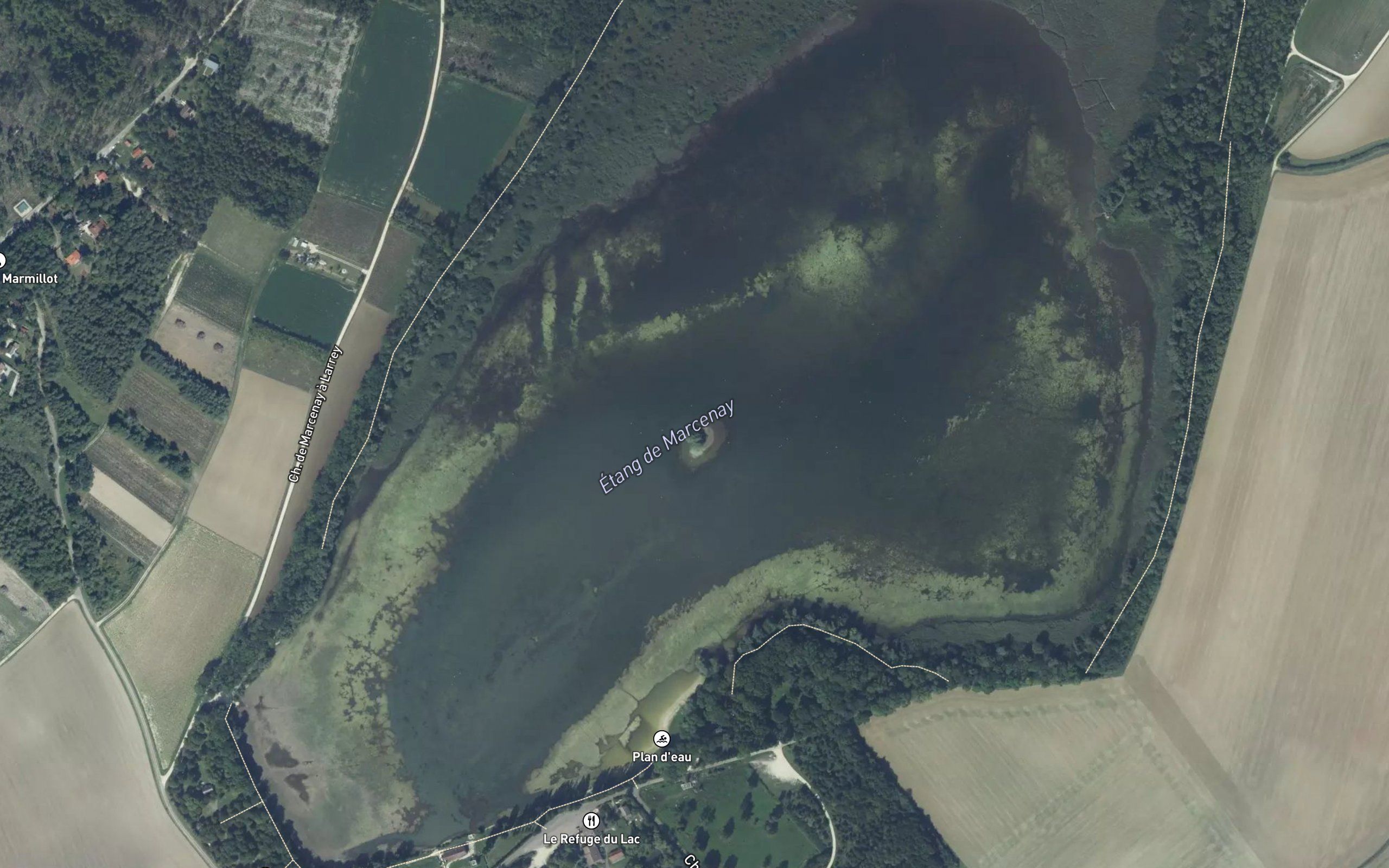 Etang de Marcenay