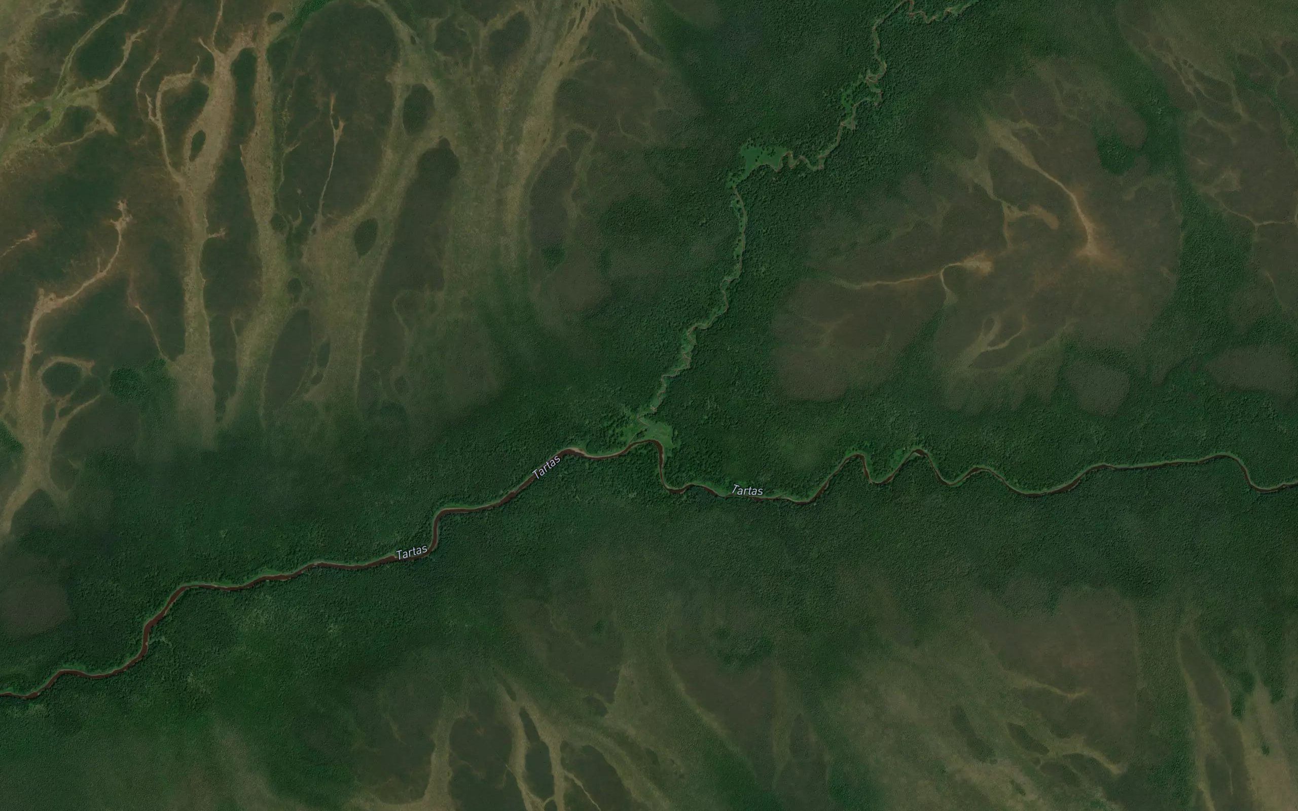 Kalgach