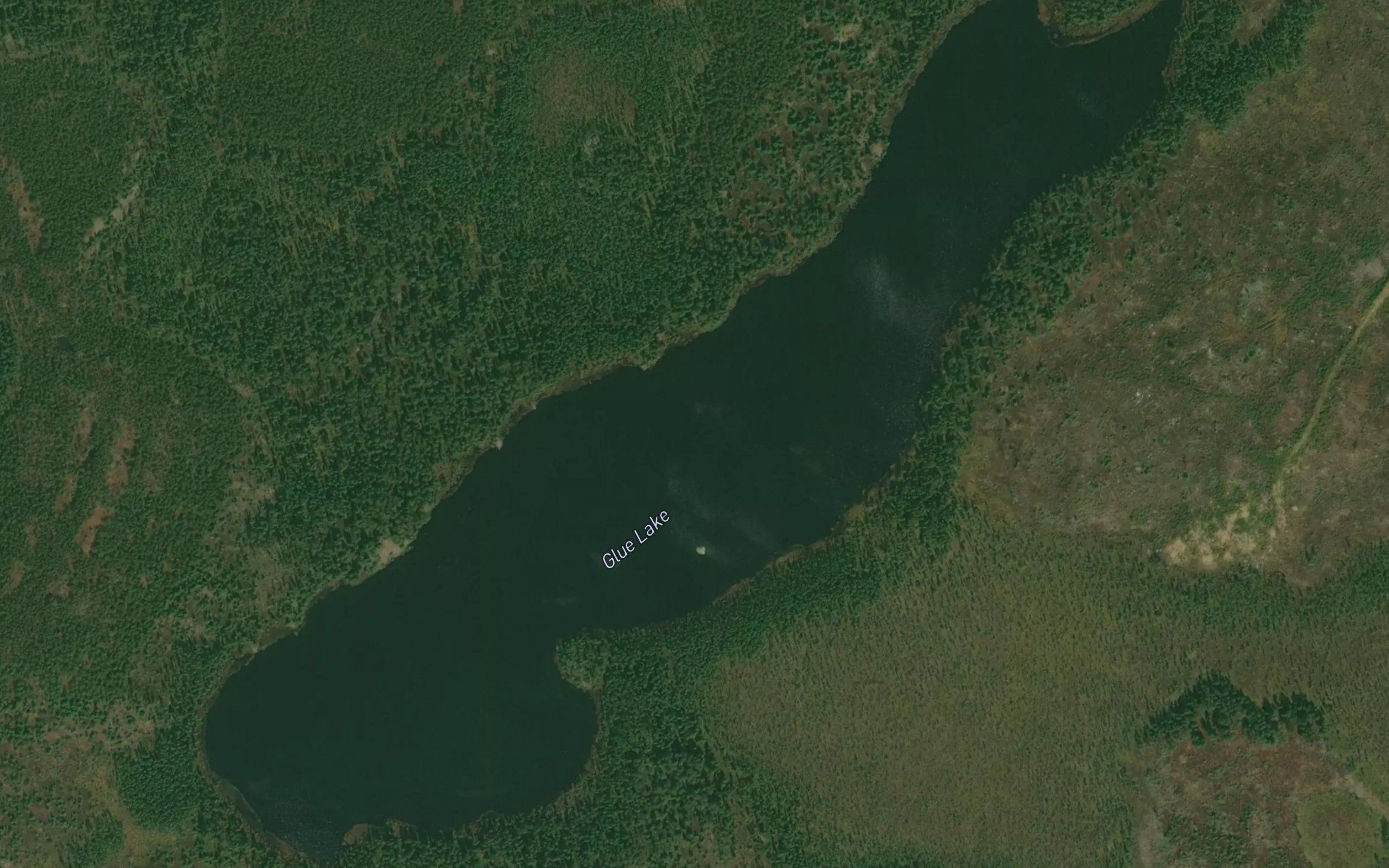 Glue Lake