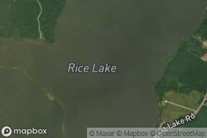 Rice Lake