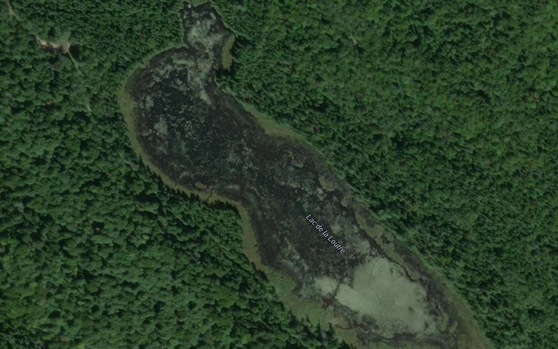 Satellite map of the Lac de la Loutre