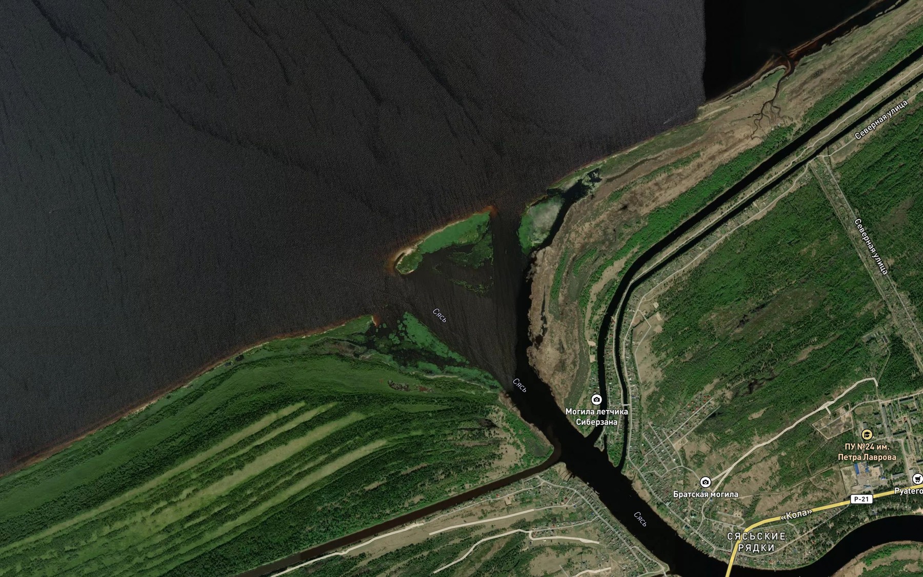 Satellite map of the Syas'