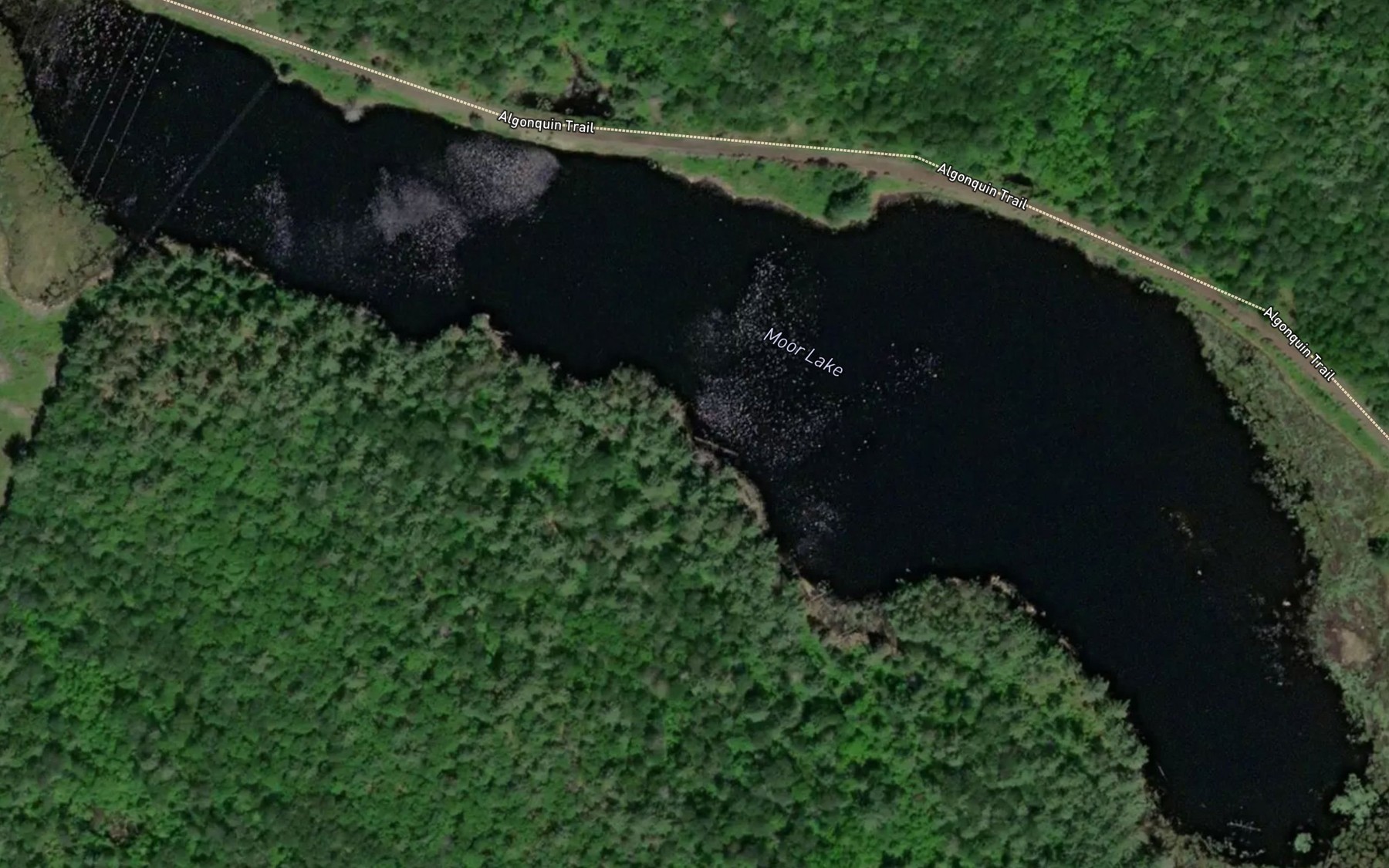 Satellite map of the Moor Lake