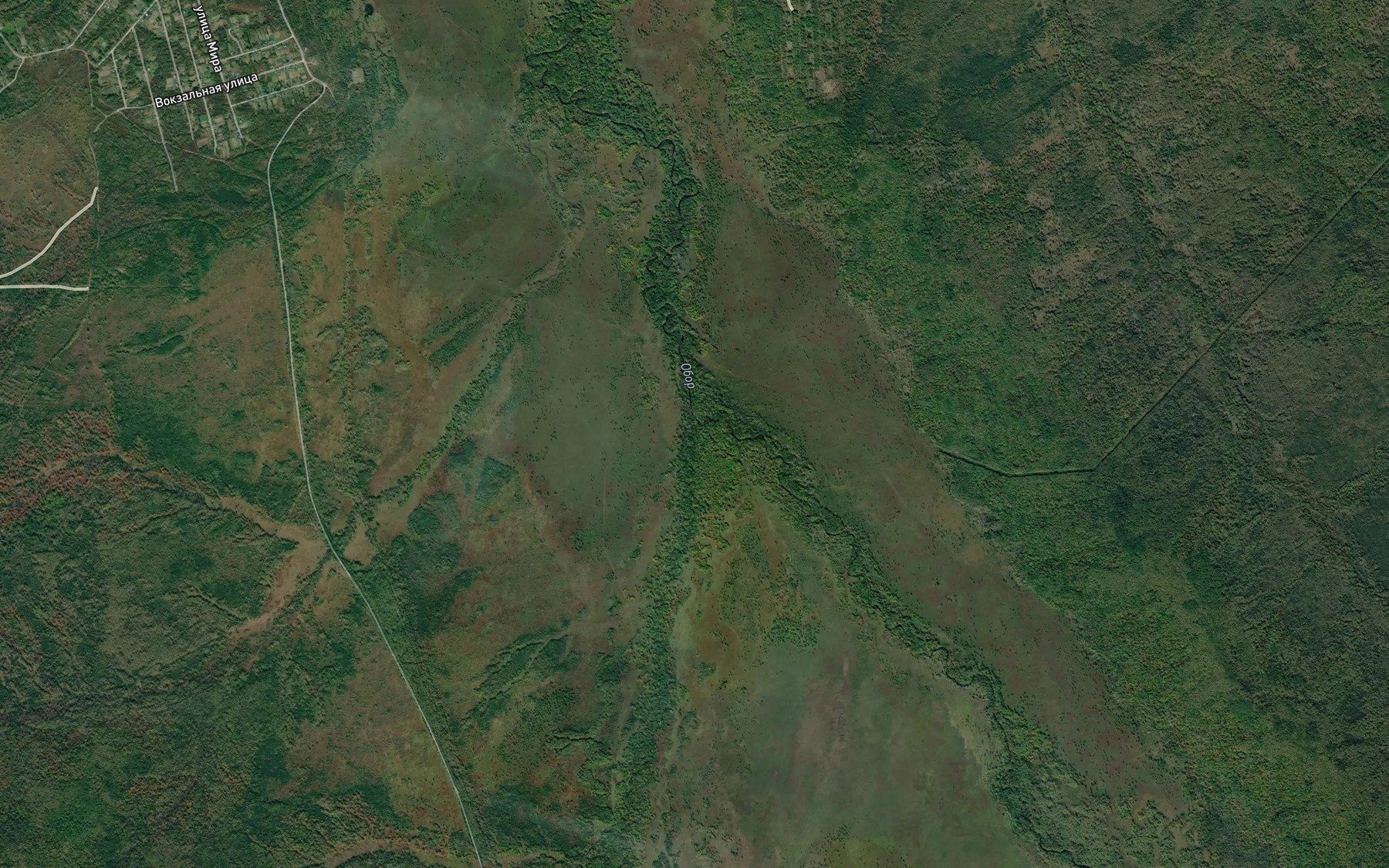 Satellite map of the Pereselenka