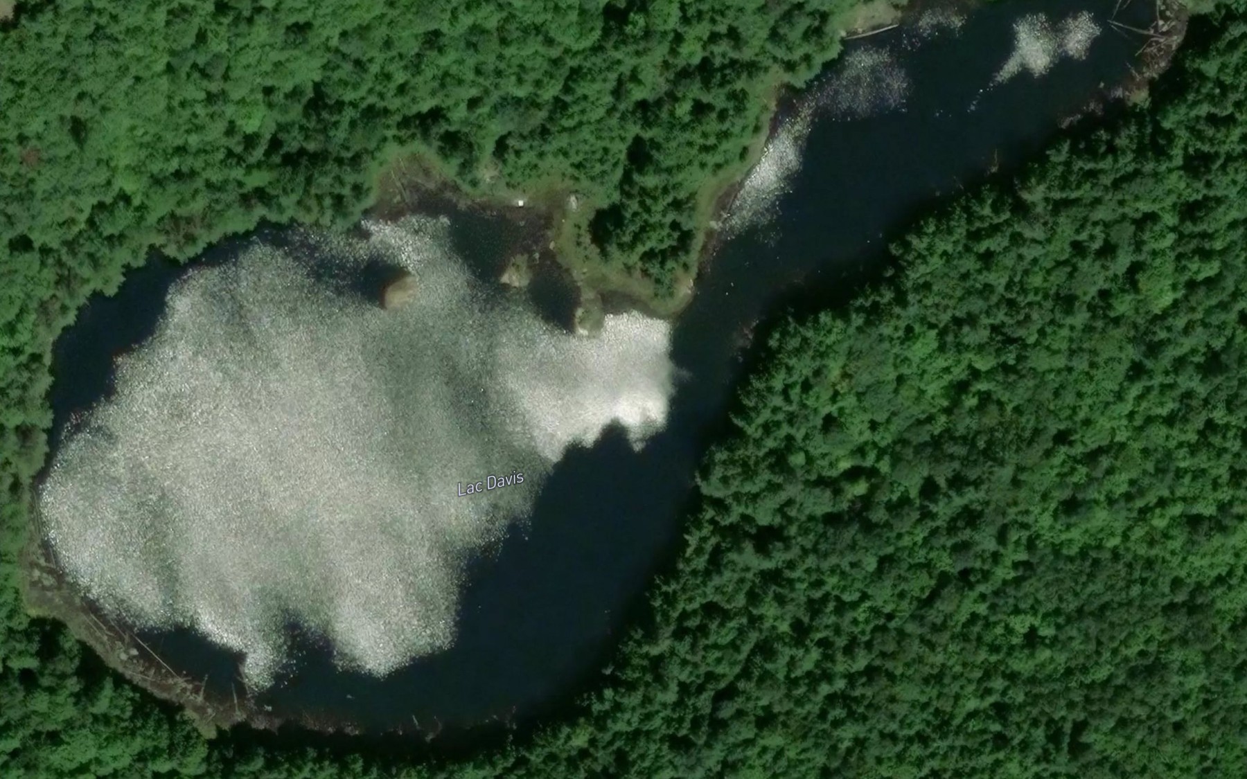 Satellite map of the Lac Davis
