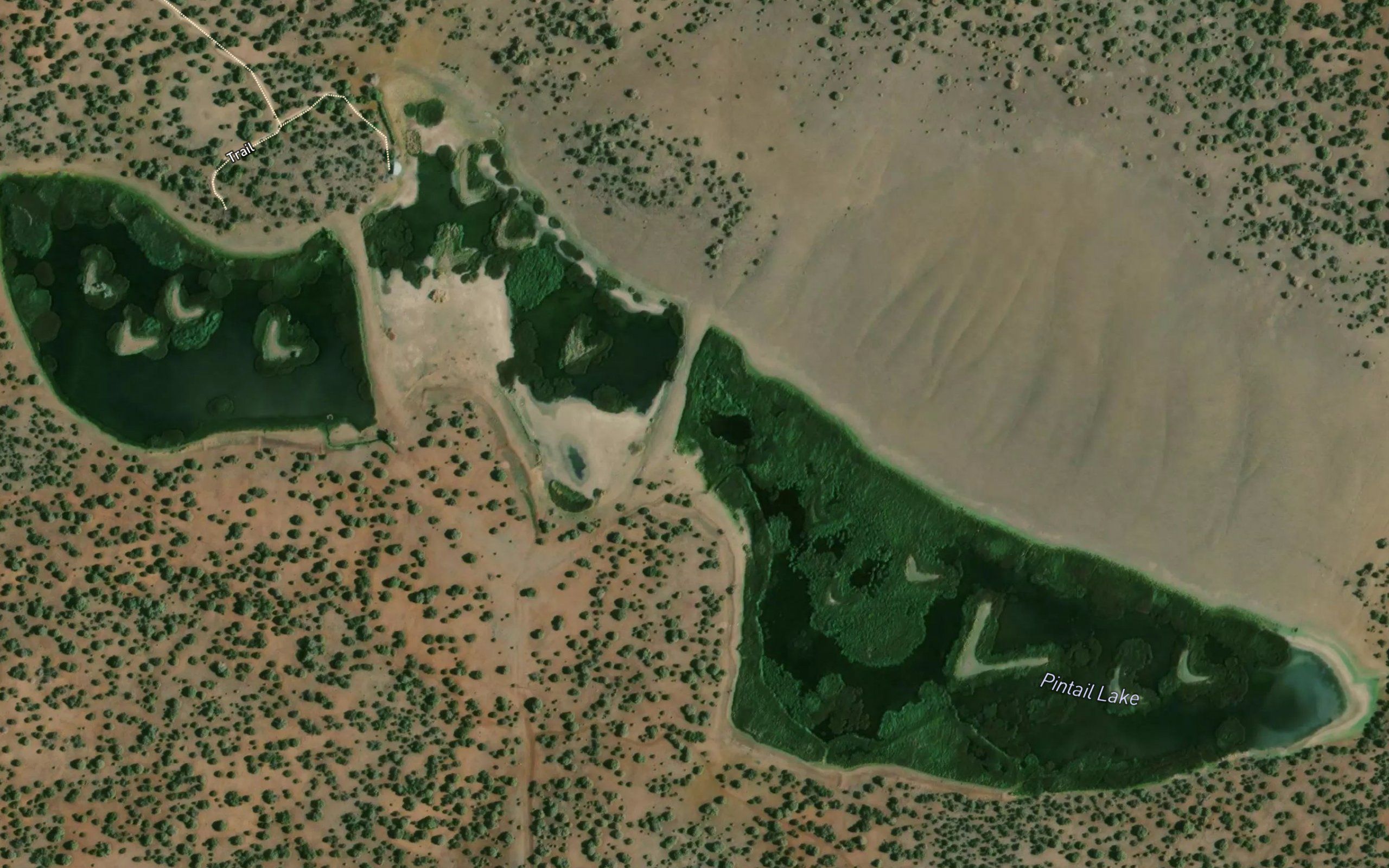Pintail Lake