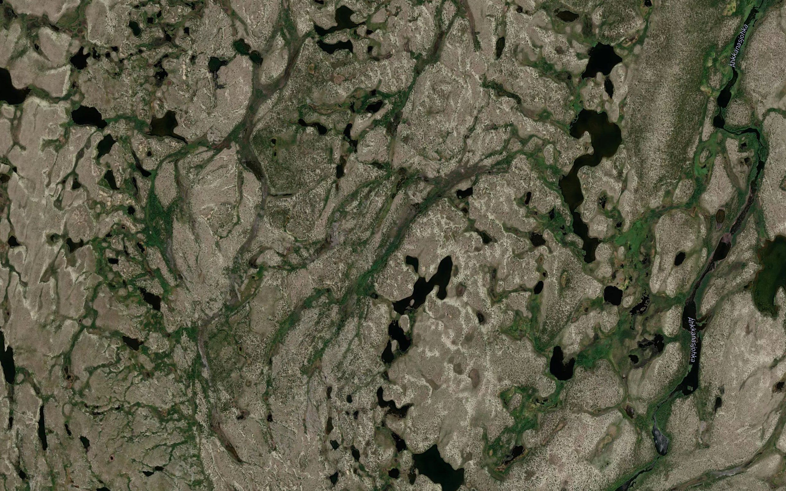 Gallinjakka