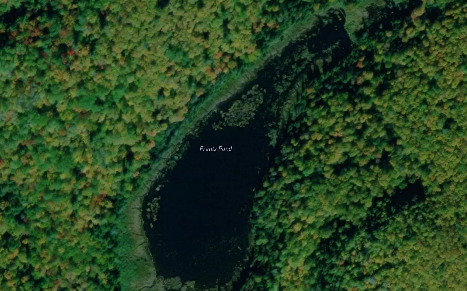 Satellite map of the Frantz Pond