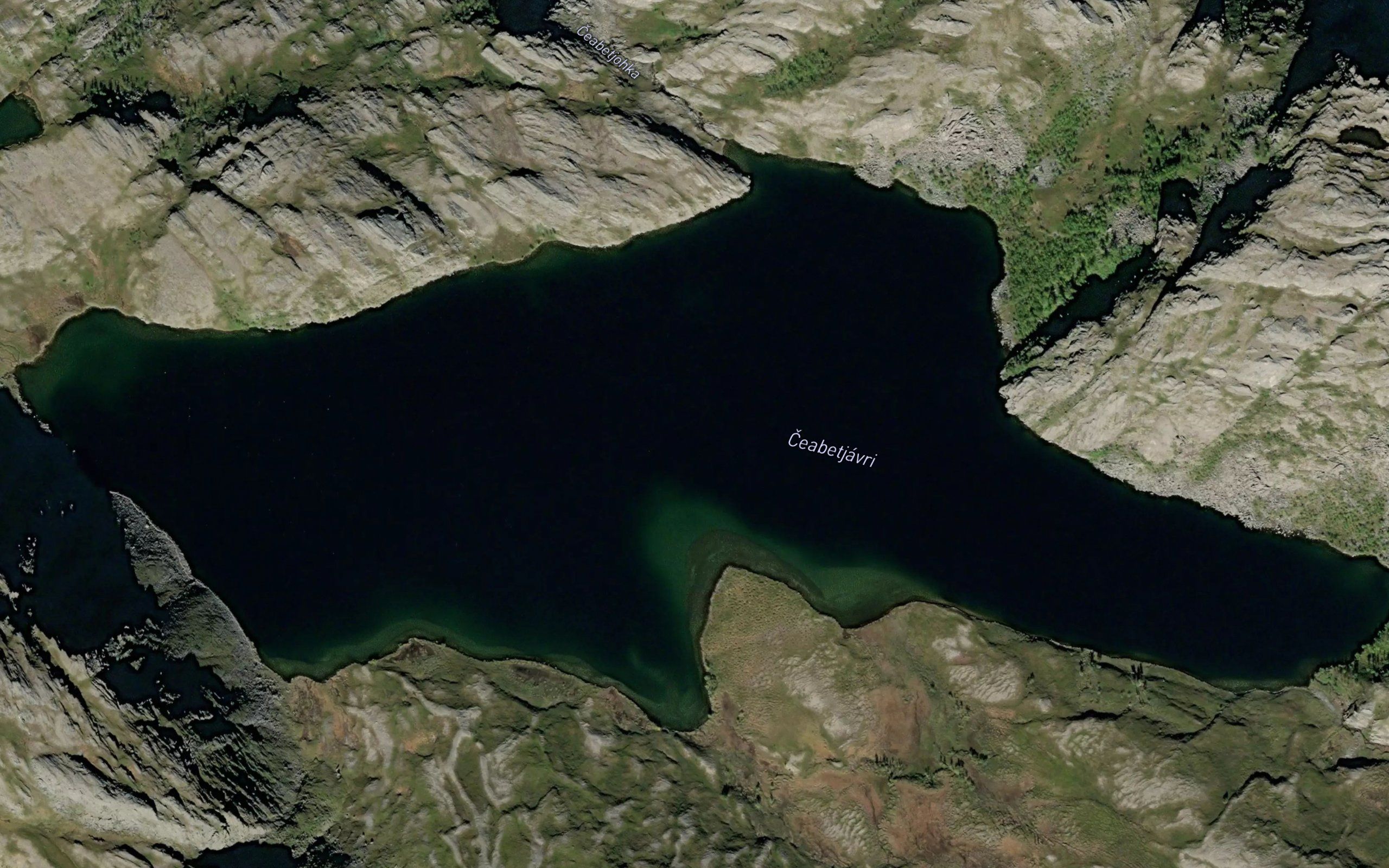Caebetjavri