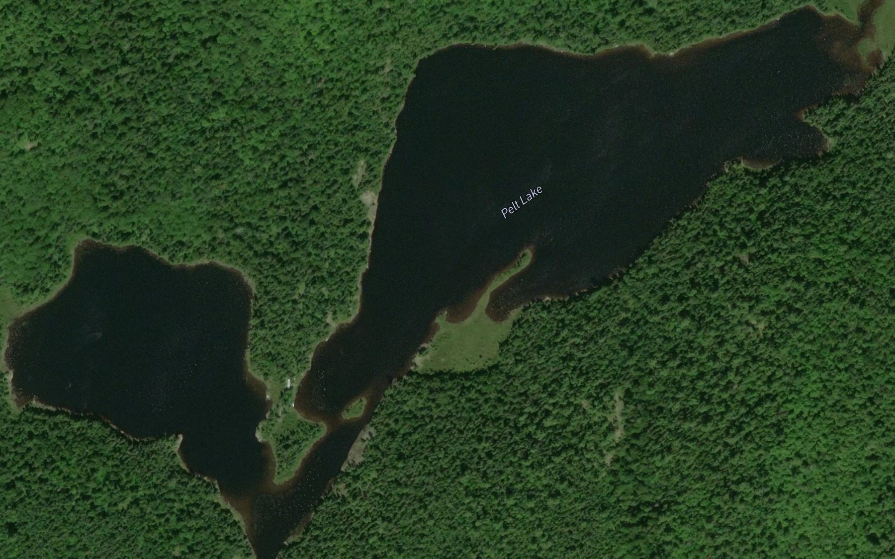 Satellite map of the Pelt Lake