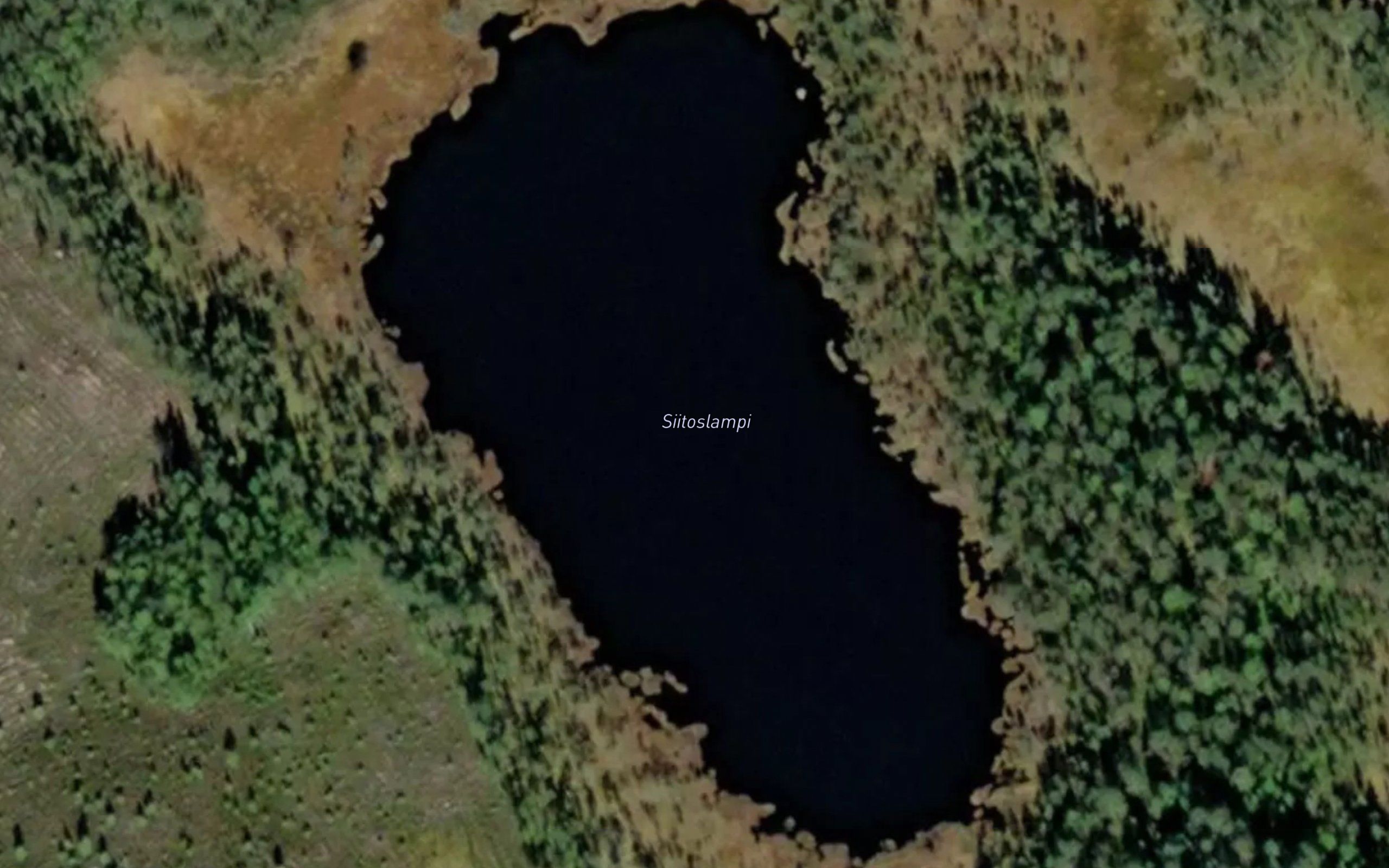 Siitoslampi